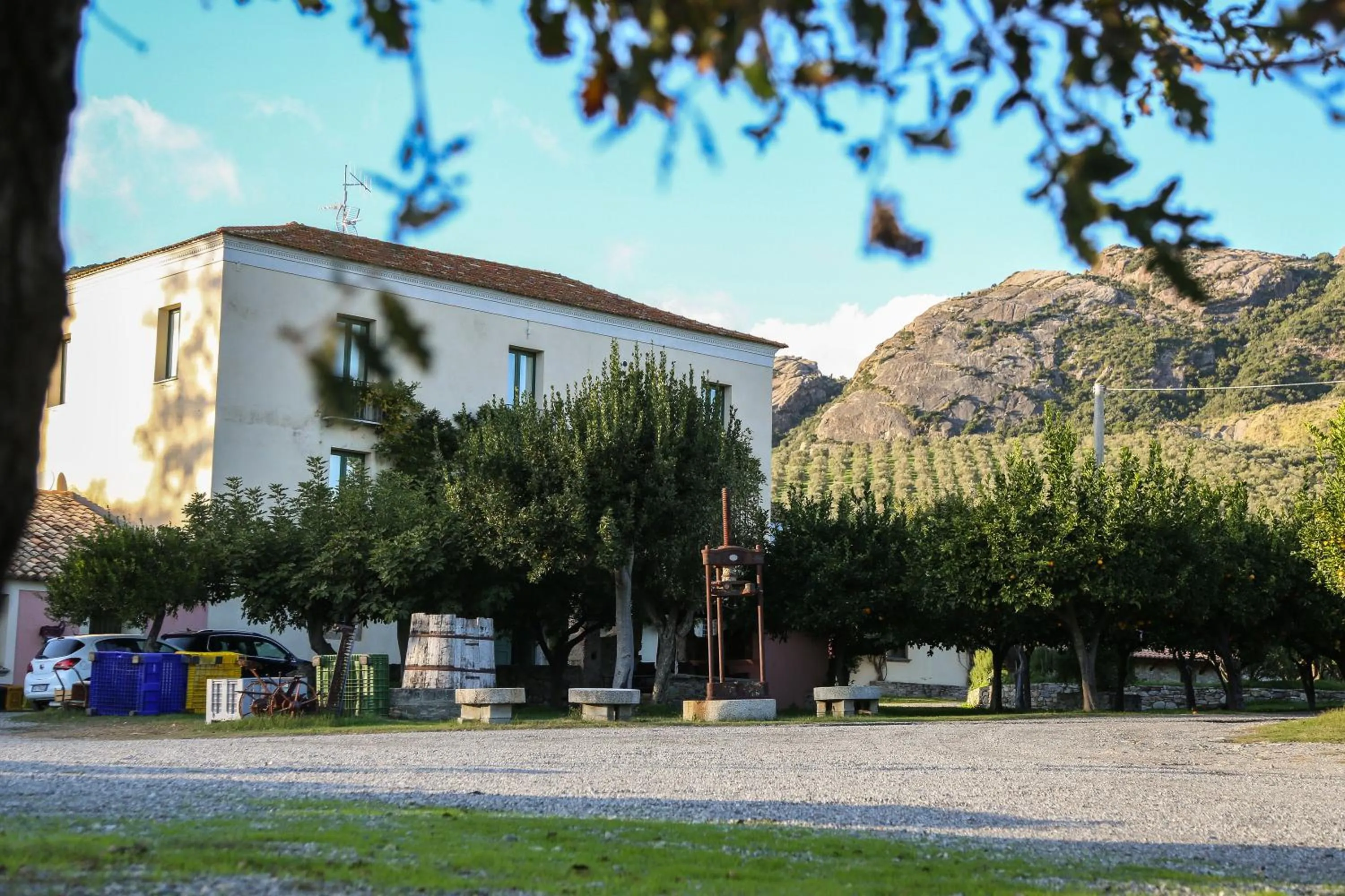 Spring in Barone GR Macrì Agriturismo Modi