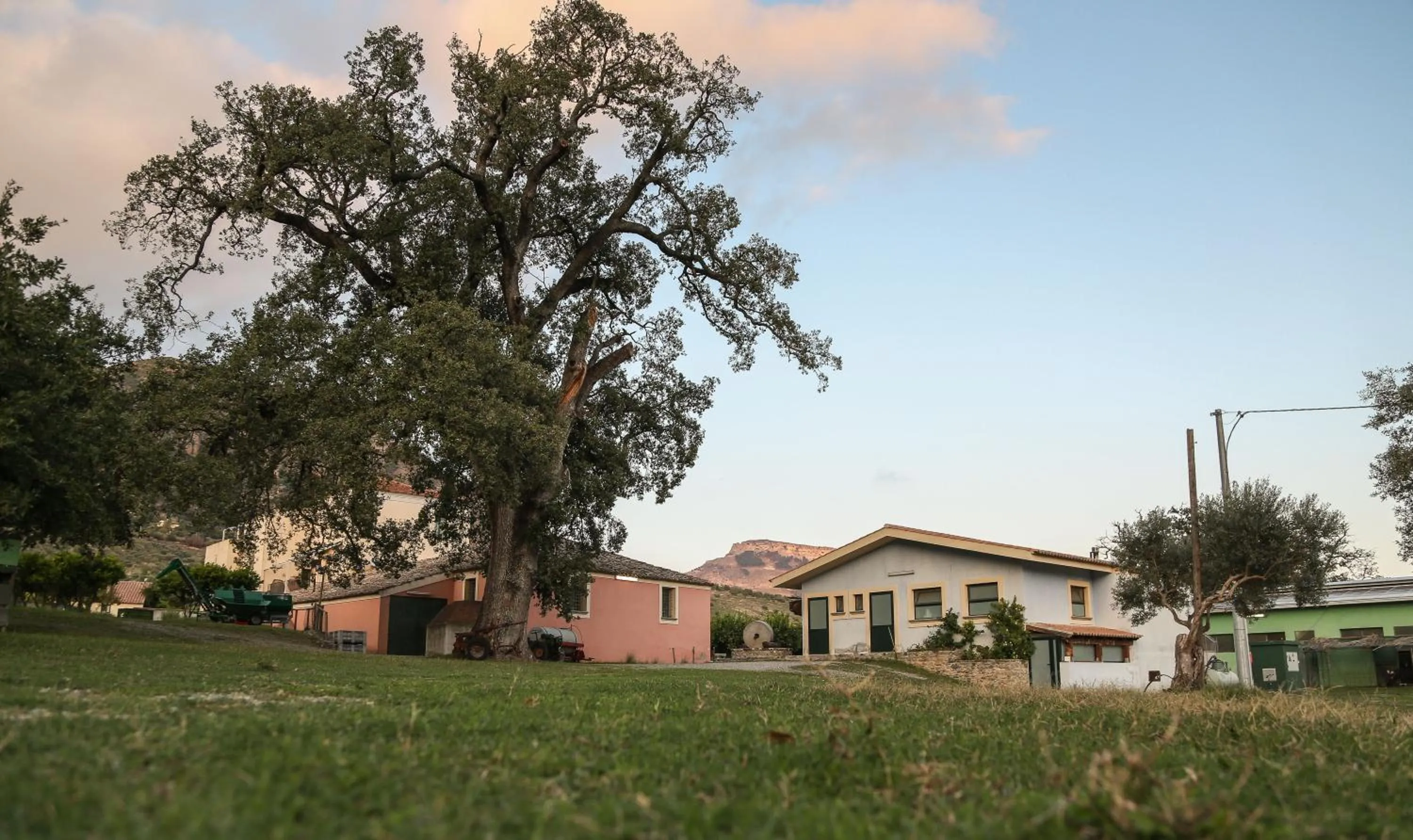 Garden in Barone GR Macrì Agriturismo Modi
