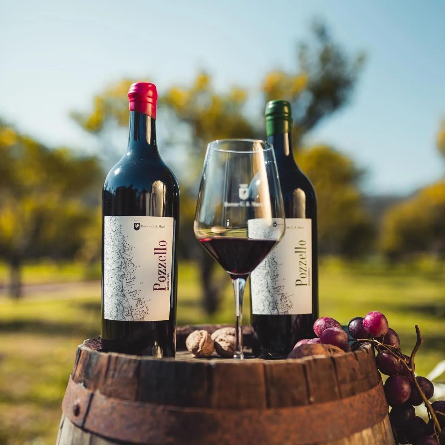 Food and drinks in Barone GR Macrì Agriturismo Modi