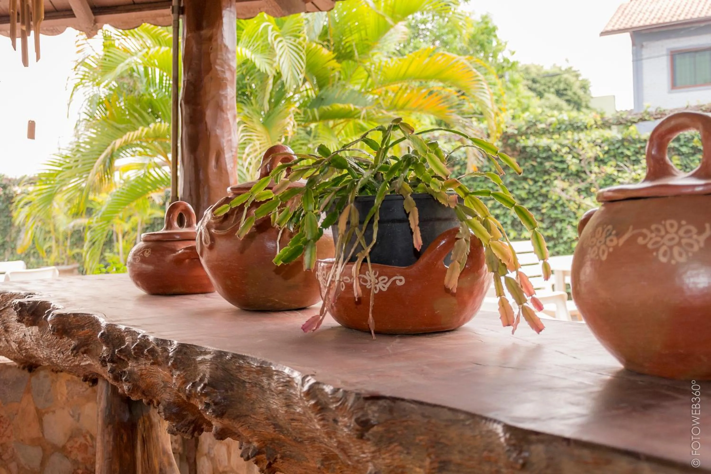 Garden view in Pousada Rancho Jarinu