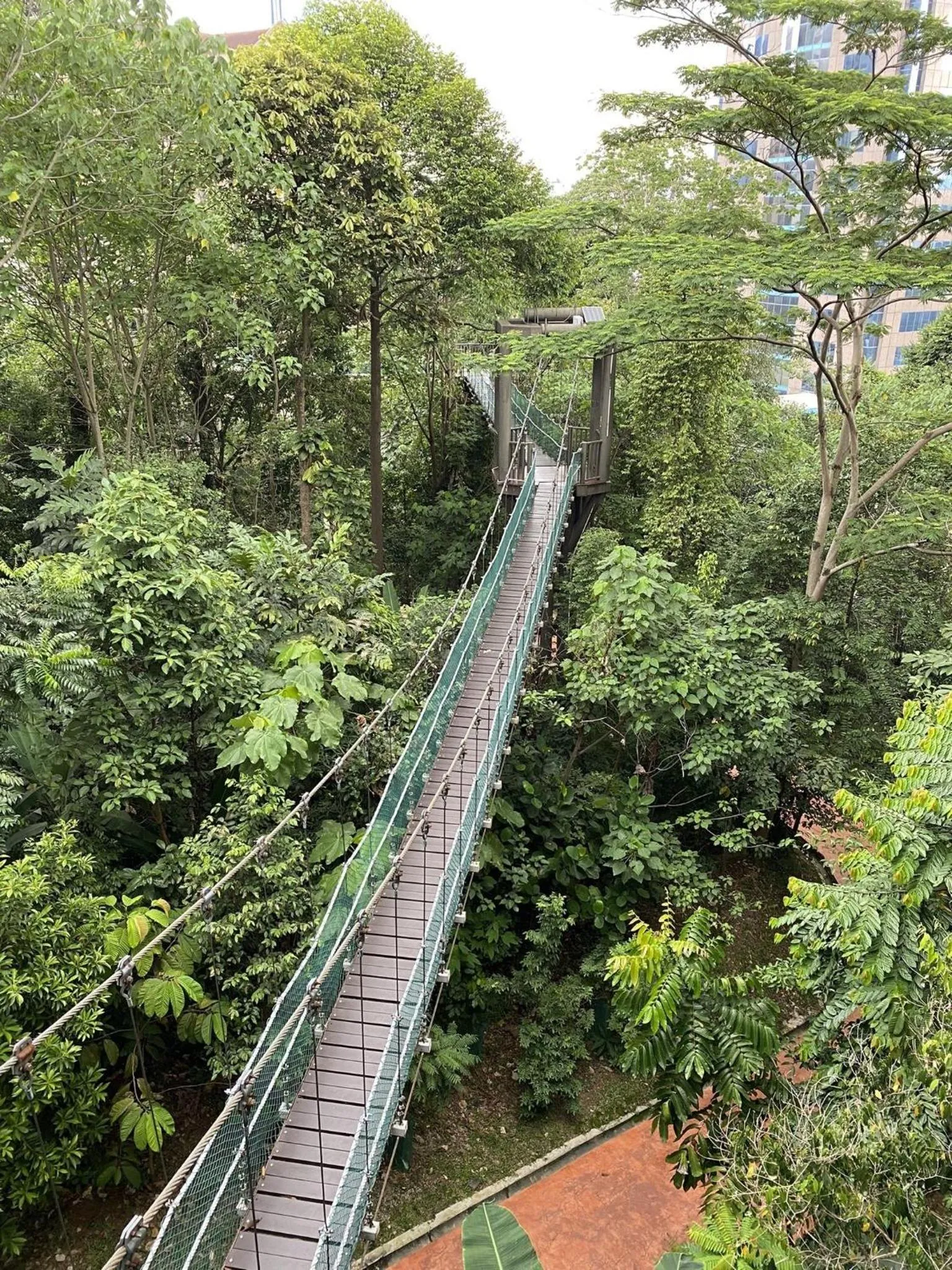 Hiking in Agile BB-TRX by ASTRA