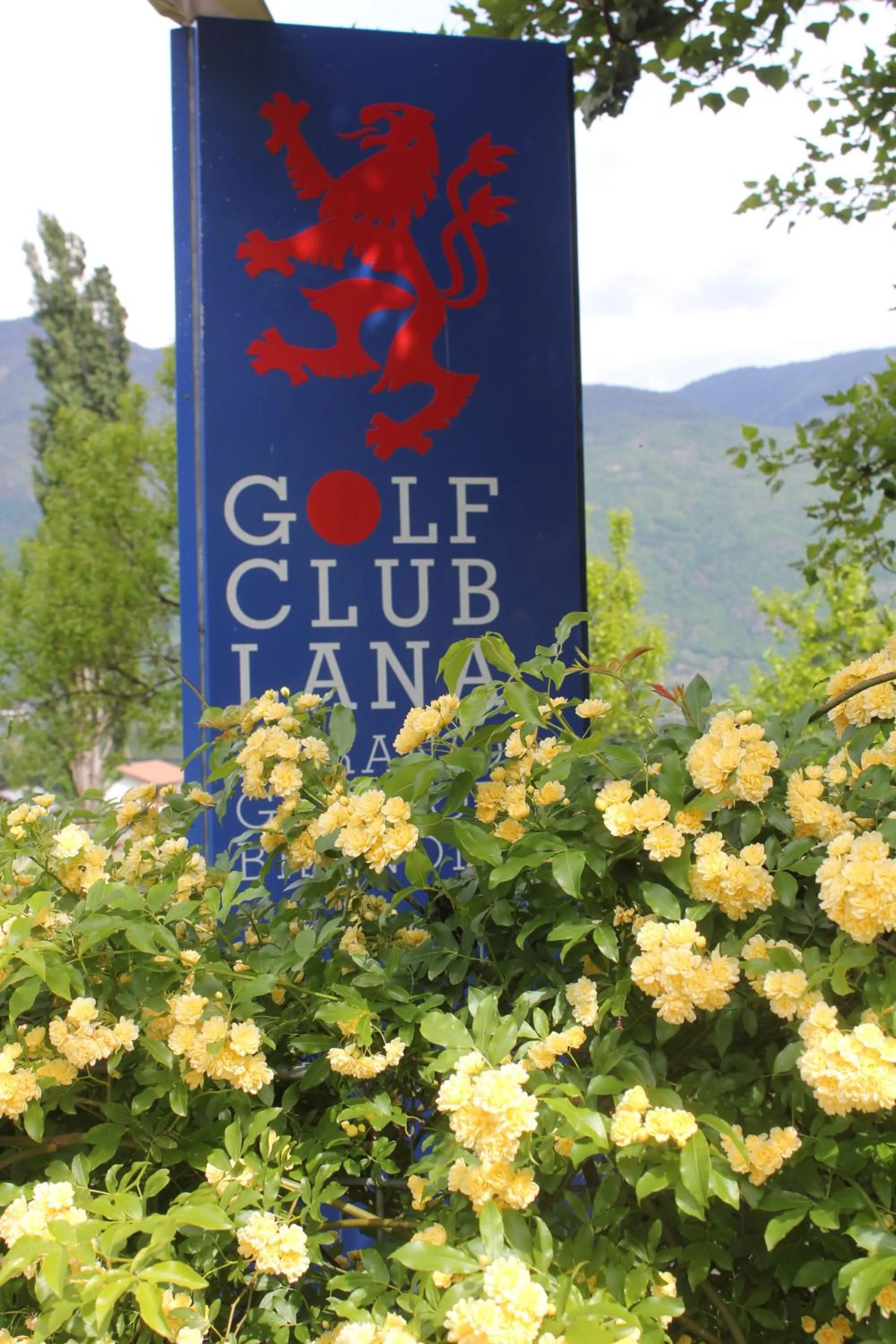 Golfcourse in Hotel Annabell