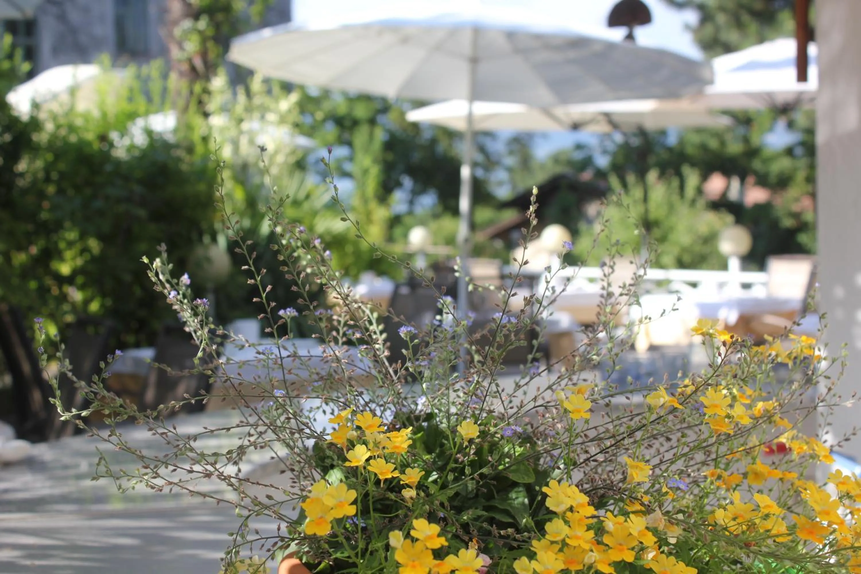 Balcony/Terrace in Hotel Annabell