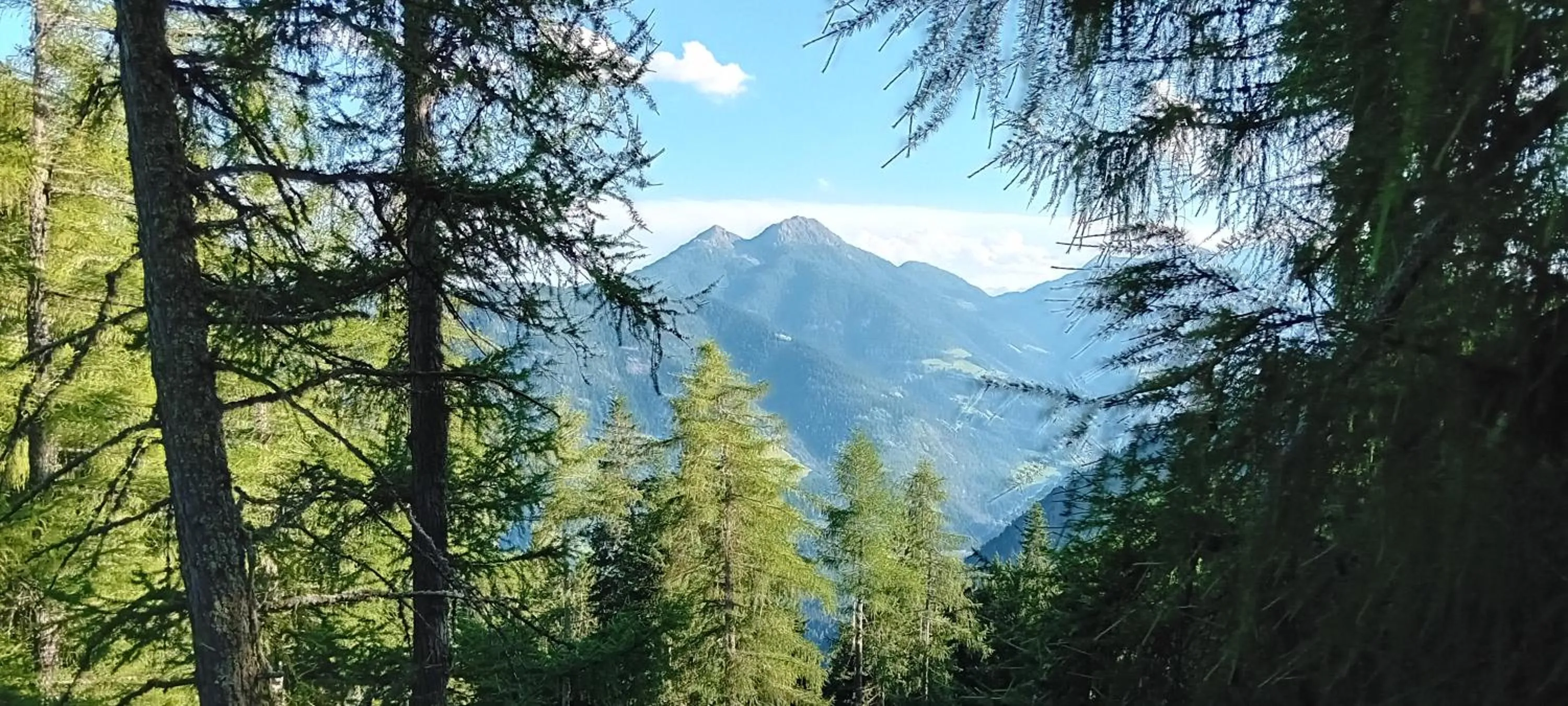 Hiking in Hotel Annabell