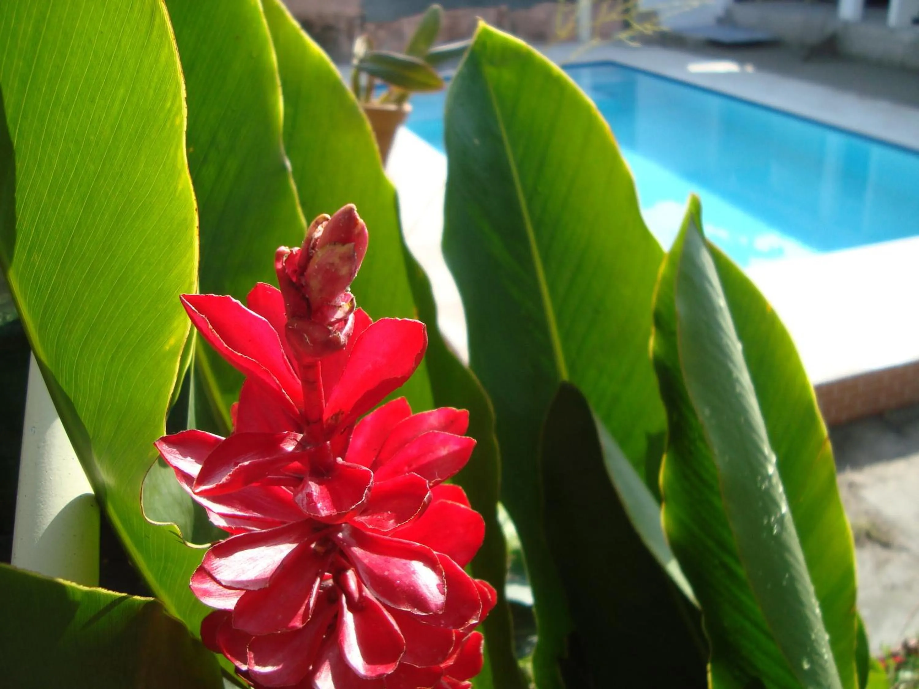 Pousada Manga Rosa- Arraial