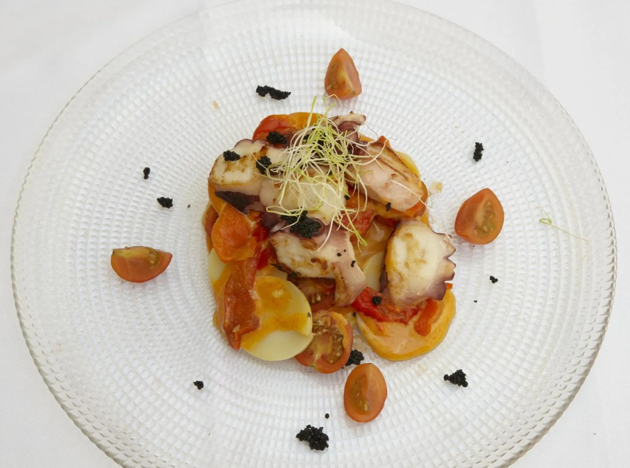 Hotel Galería Essentia