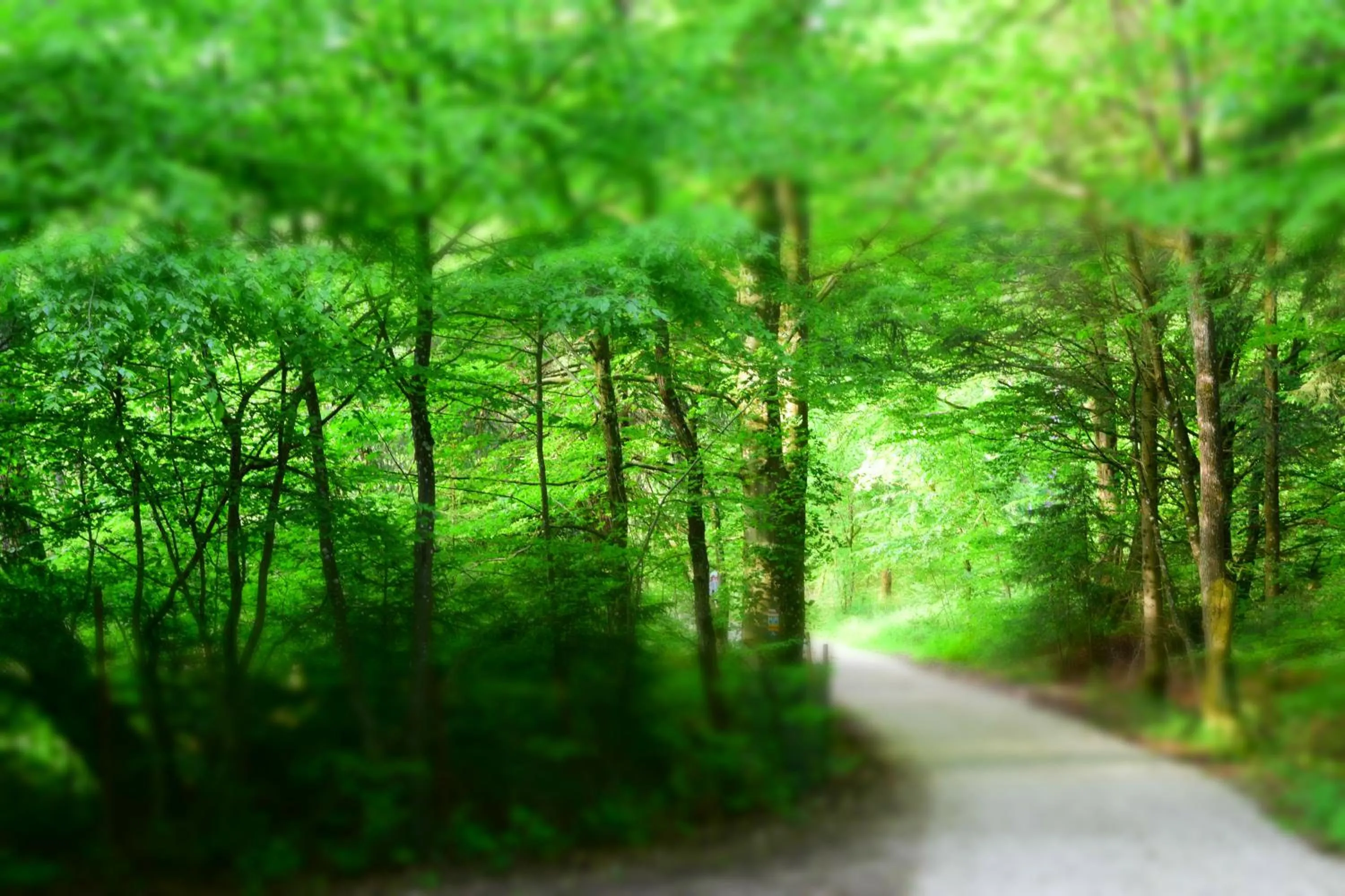 Natural landscape in AlmRefugio