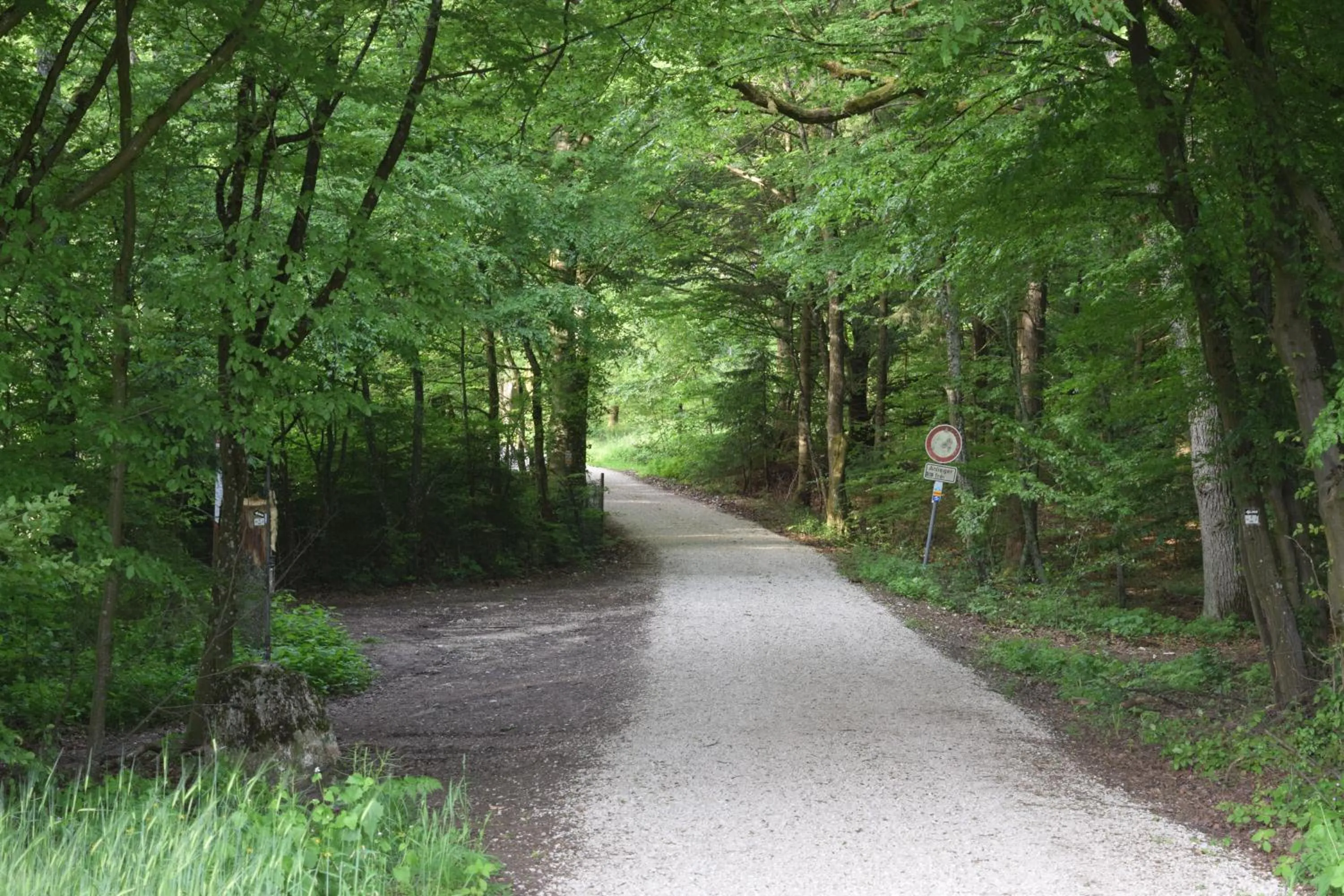 Natural landscape in AlmRefugio