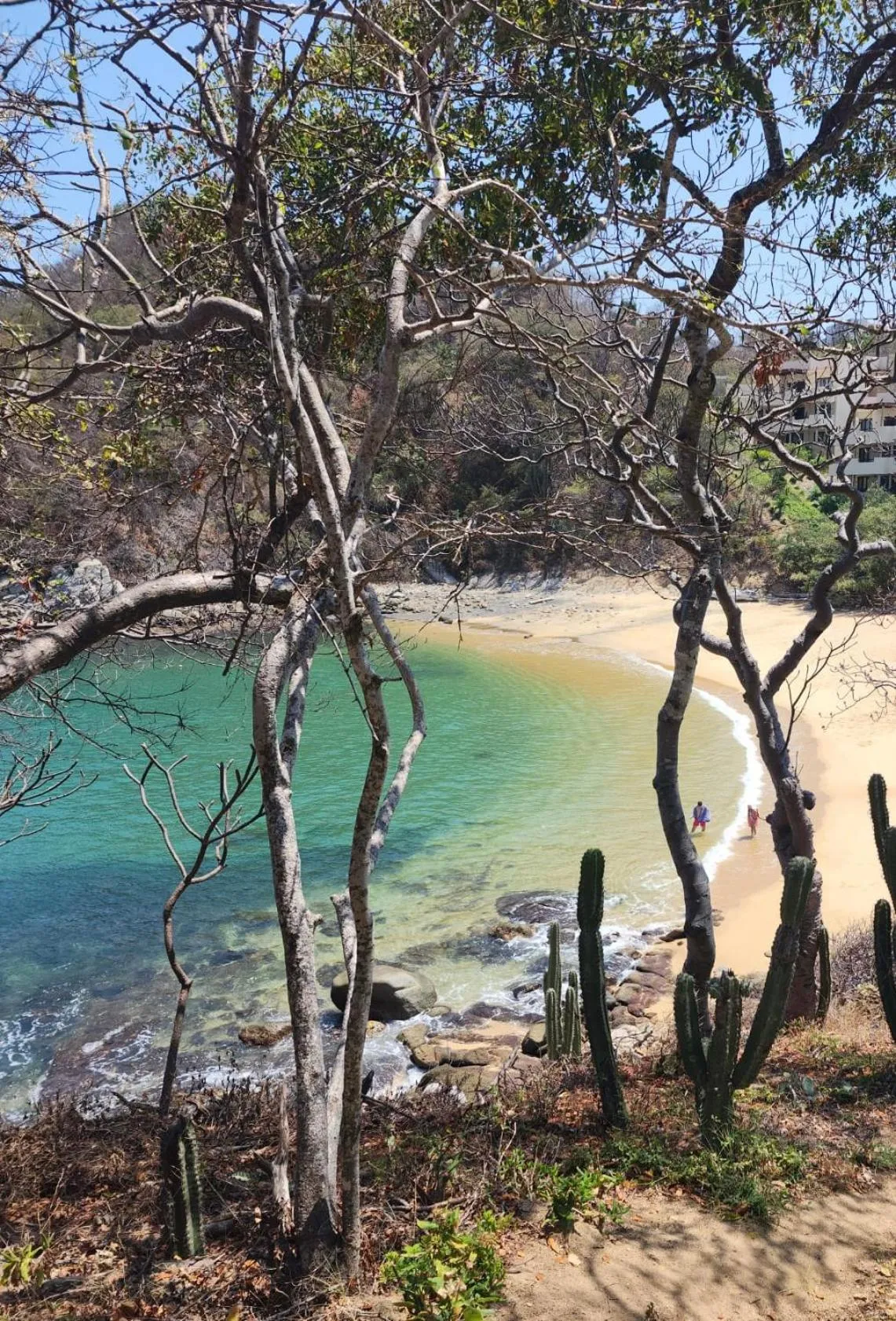 Beach in Agua Azul la Villa