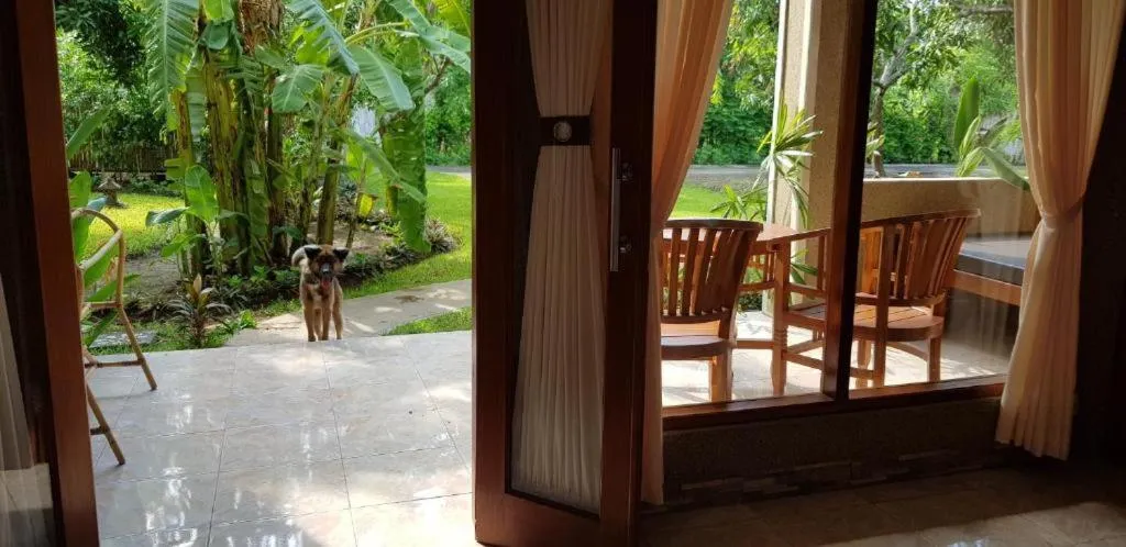 Balcony/Terrace in Mango Tree Inn