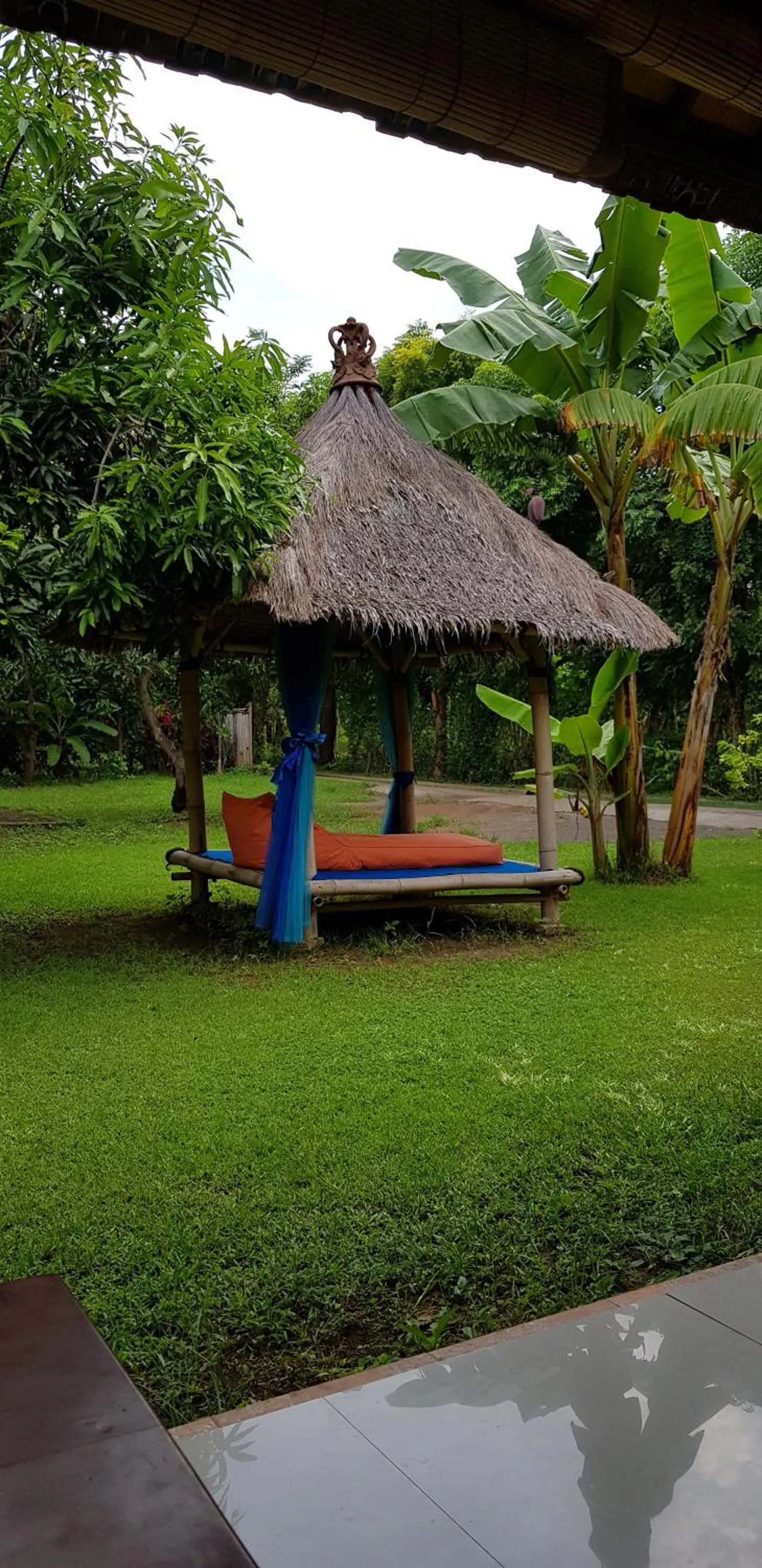 Mango Tree Inn