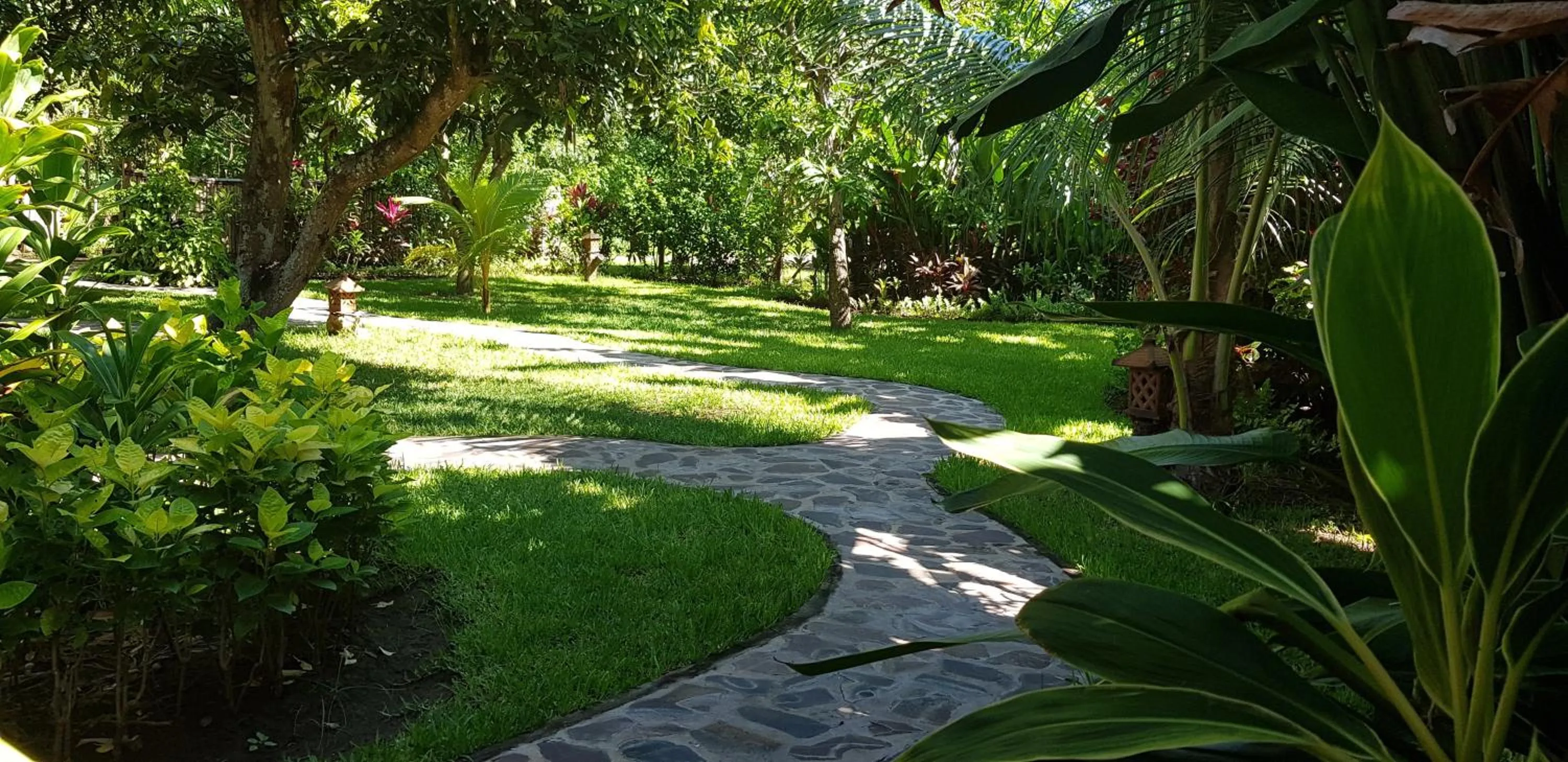 Garden in Mango Tree Inn