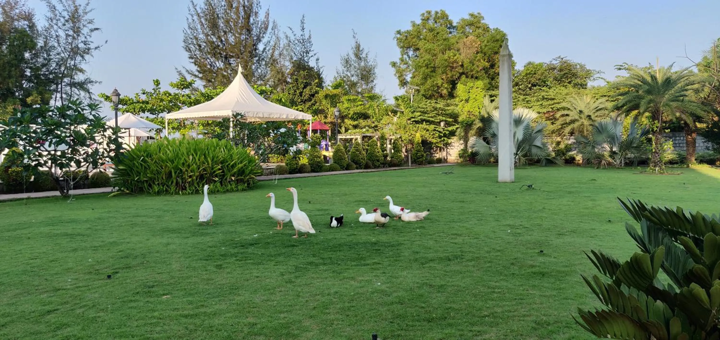 Garden in UVA Meridian Bay Resort & Spa