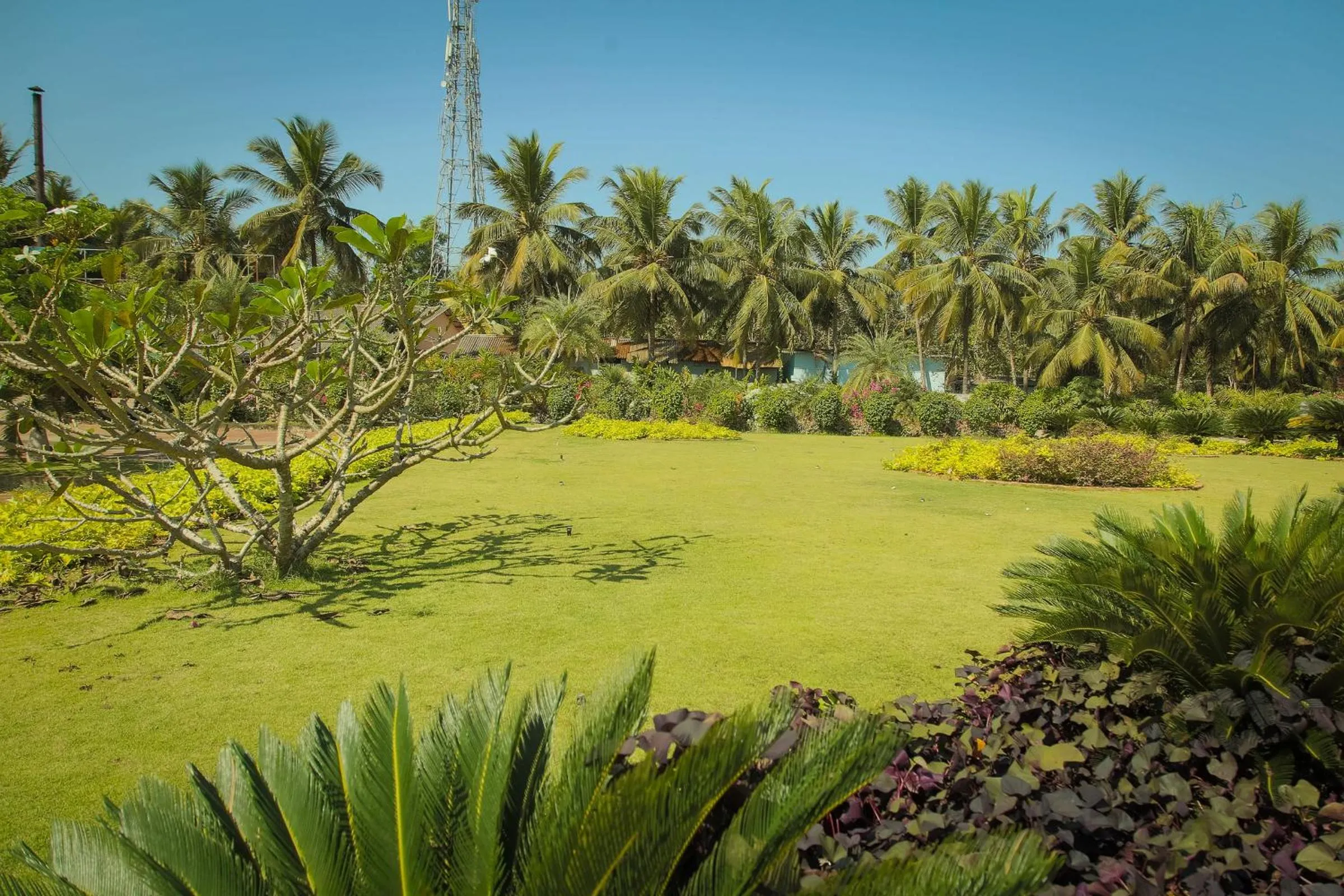 Garden in UVA Meridian Bay Resort & Spa
