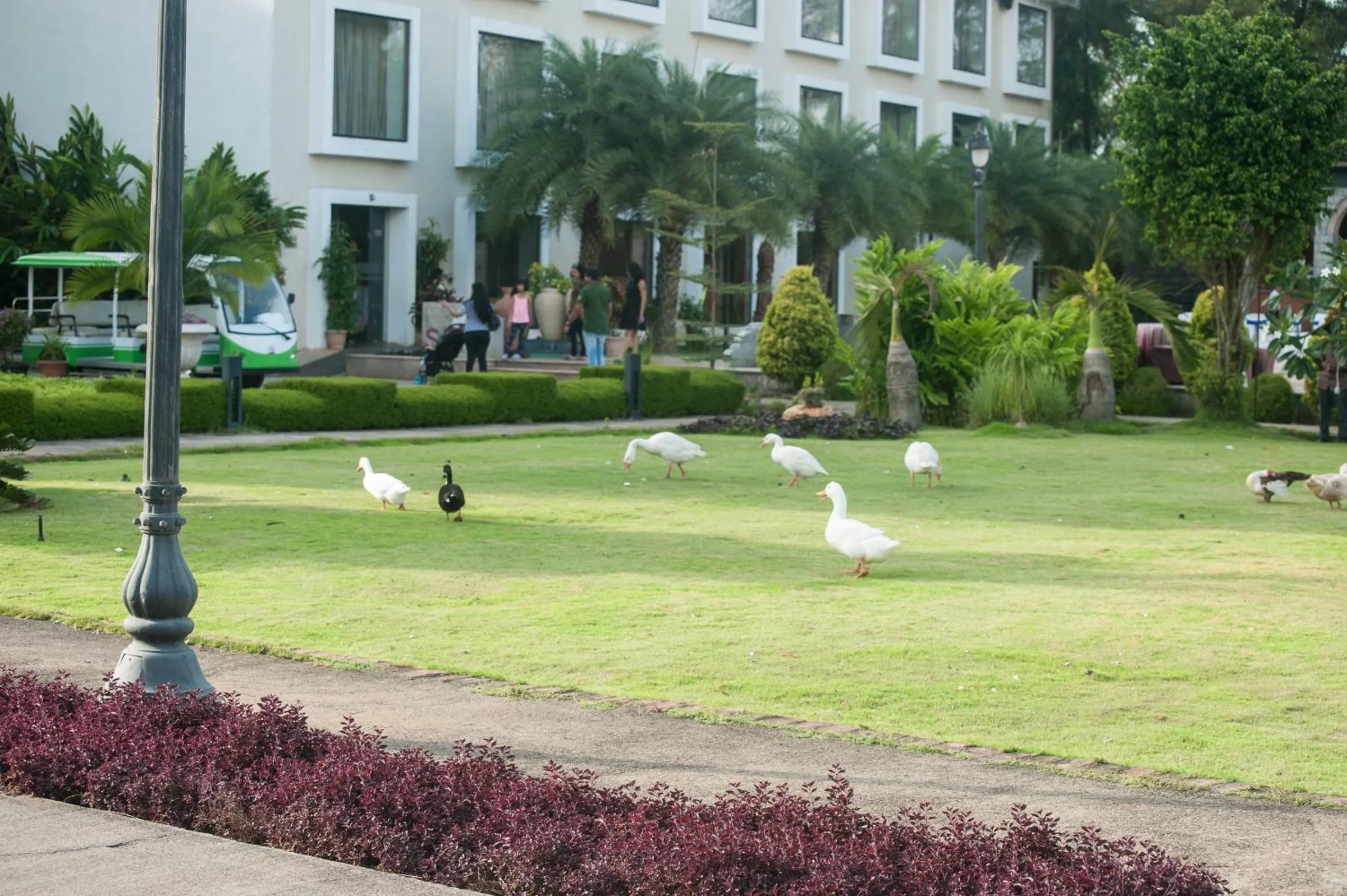 Area and facilities in UVA Meridian Bay Resort & Spa