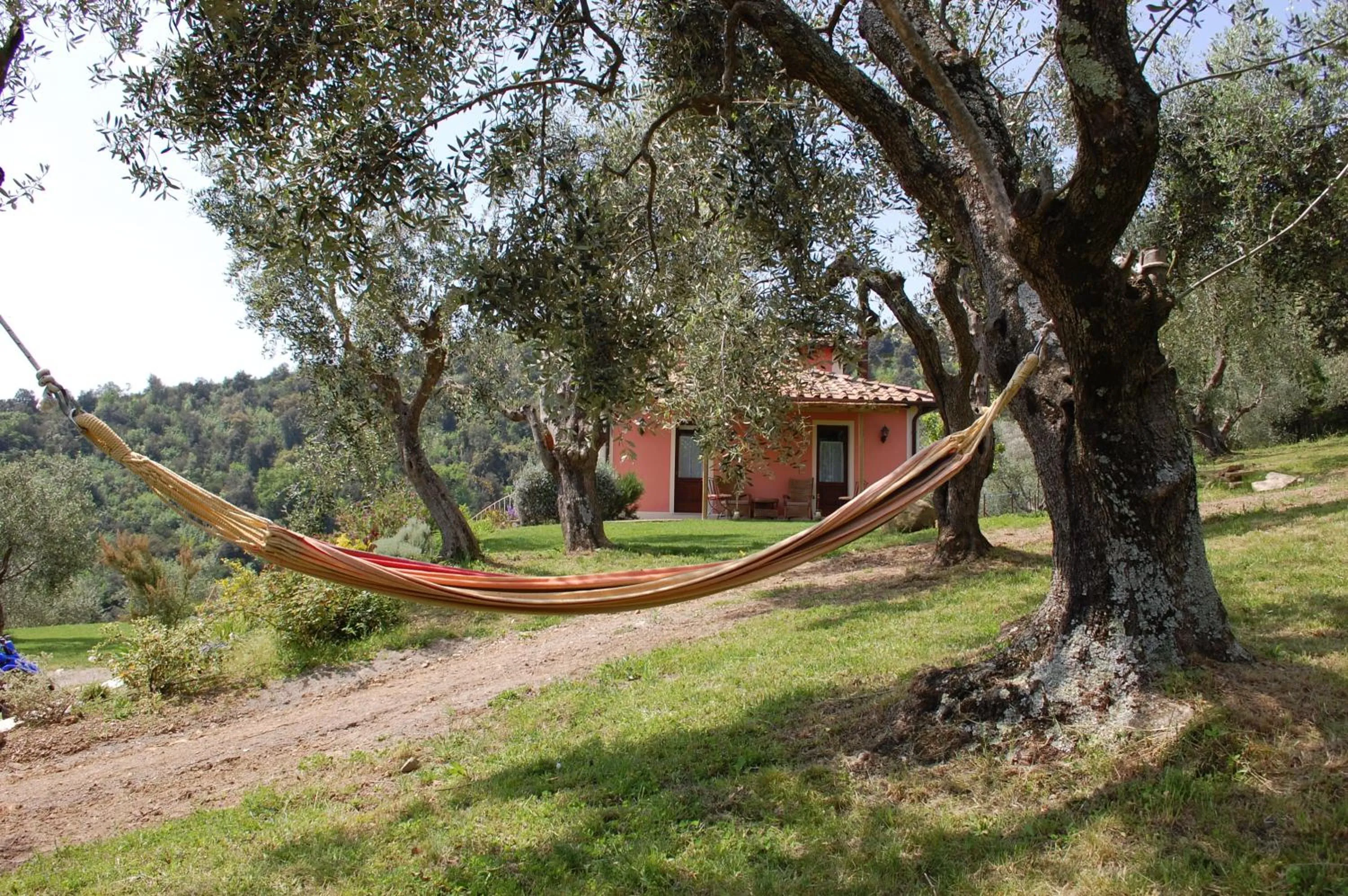 Facade/entrance in Il Pino