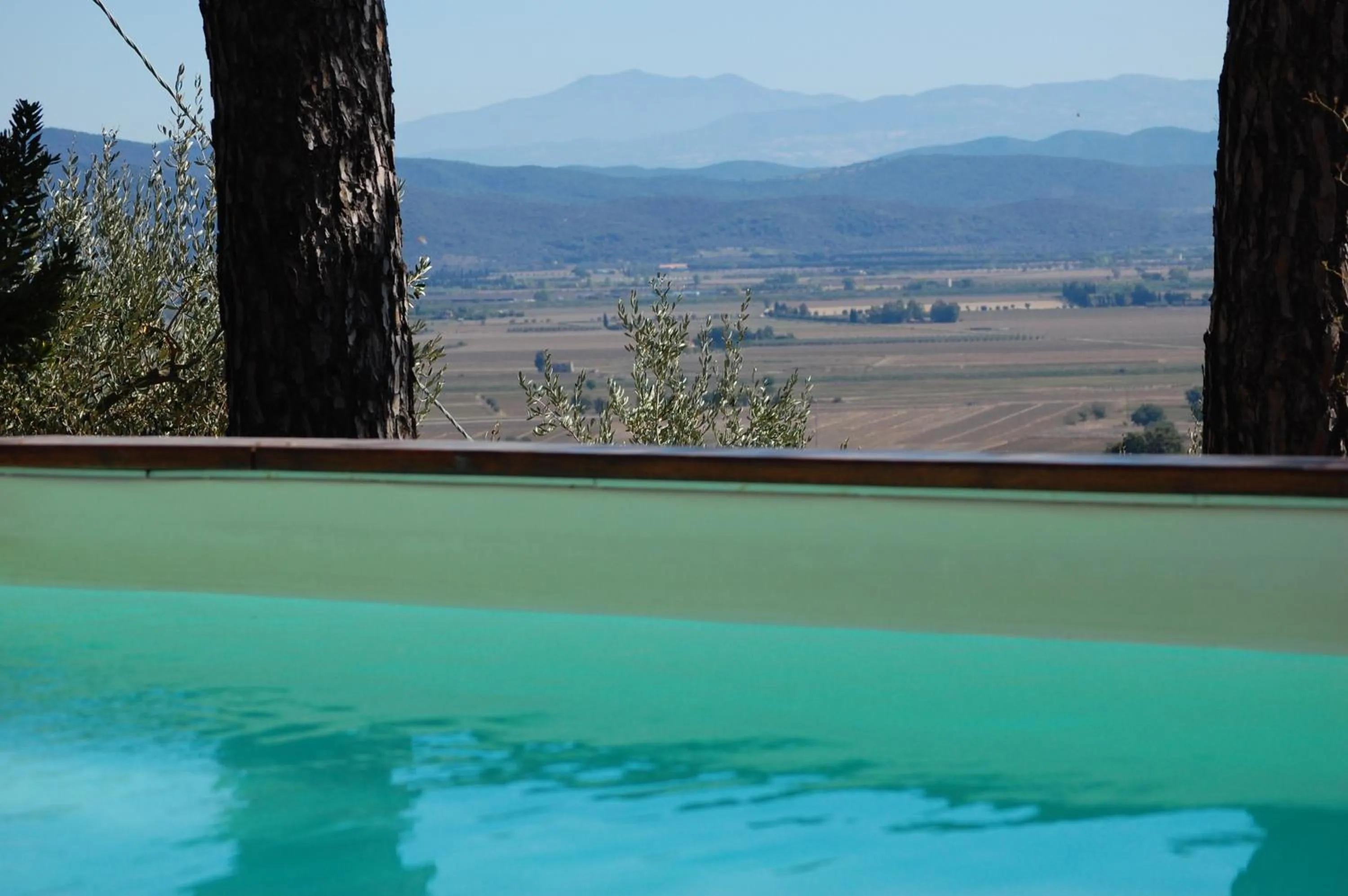 Swimming pool in Il Pino