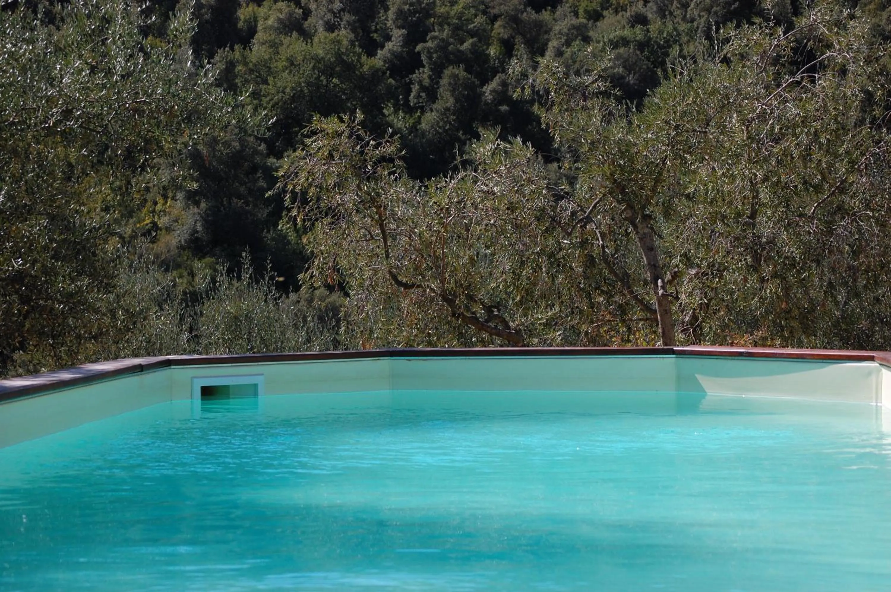 Garden view in Il Pino