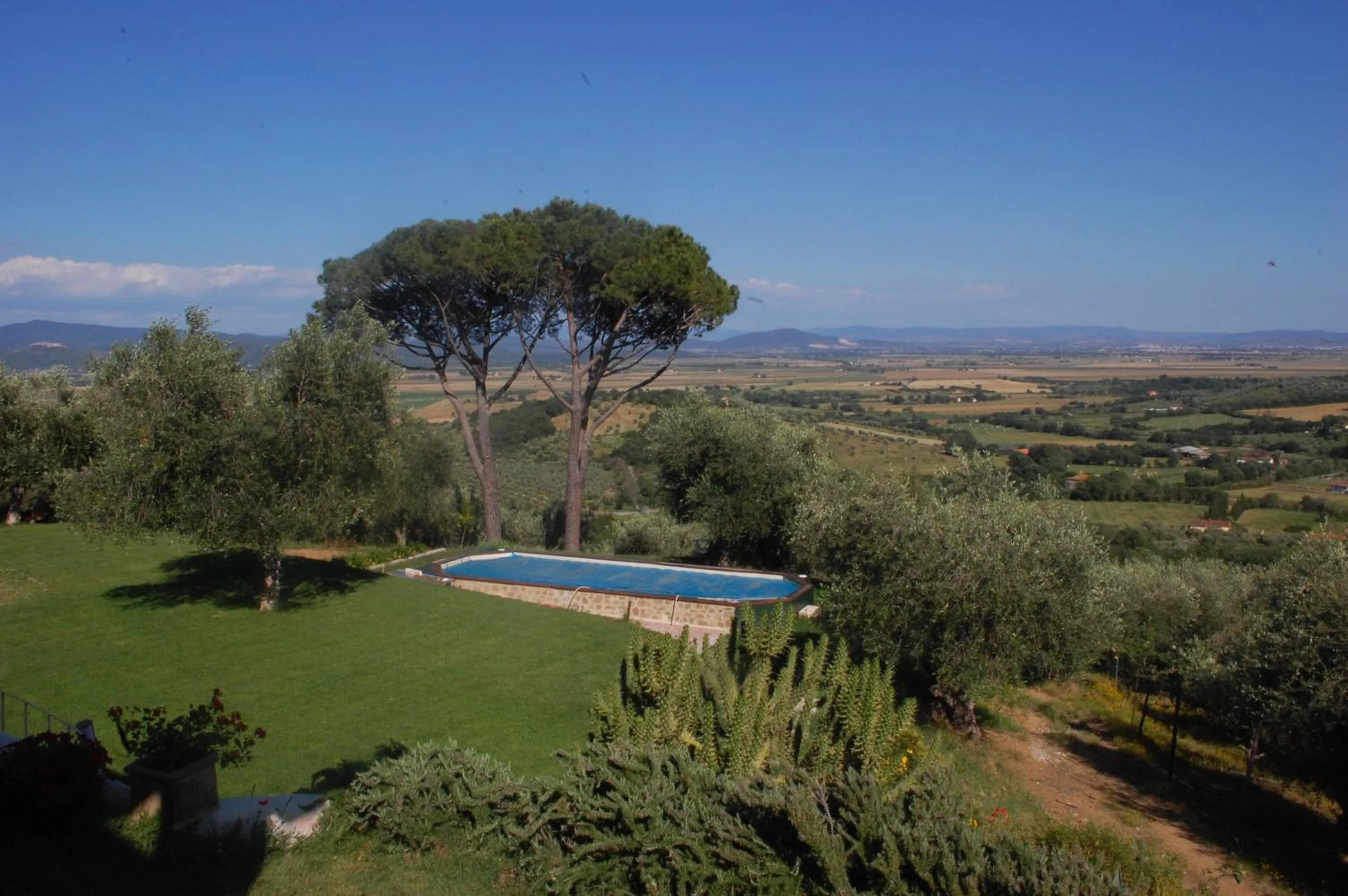 View (from property/room) in Il Pino
