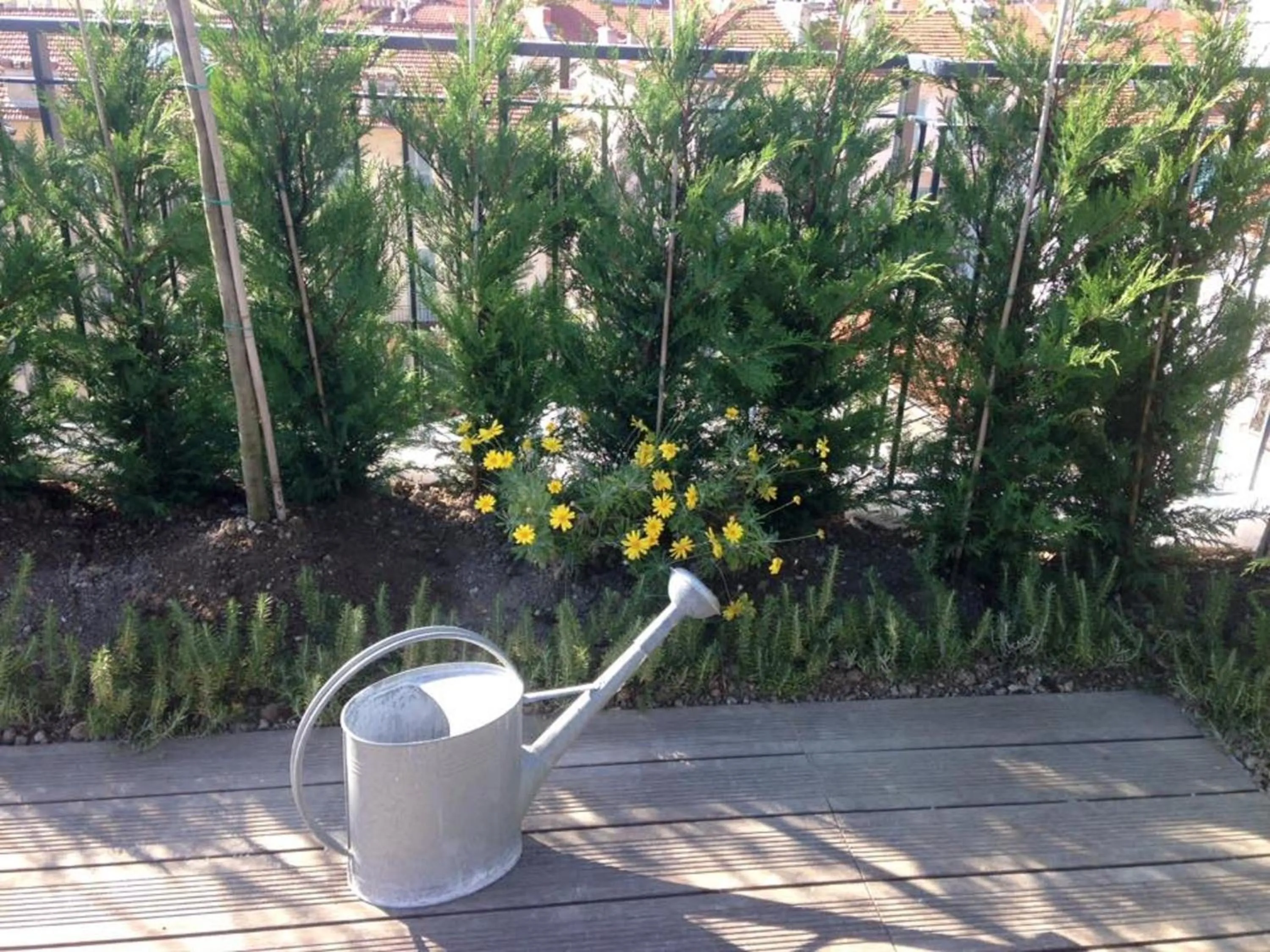 Balcony/Terrace in Hôtel & Appartements Monsigny