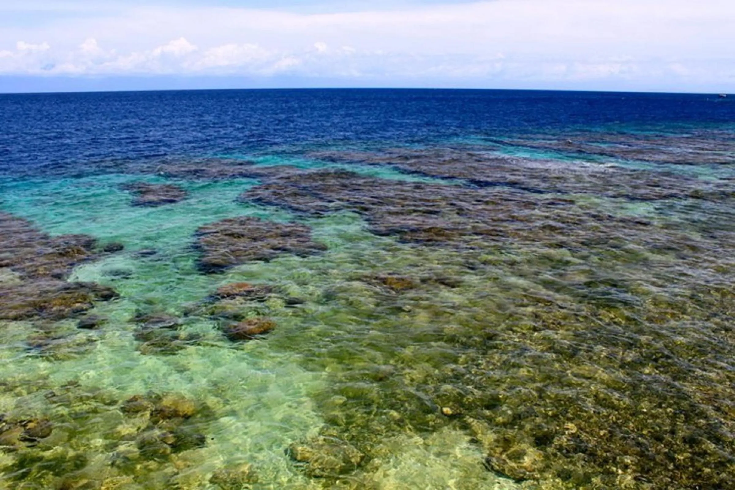 Natural landscape in Coral View Beach Resort