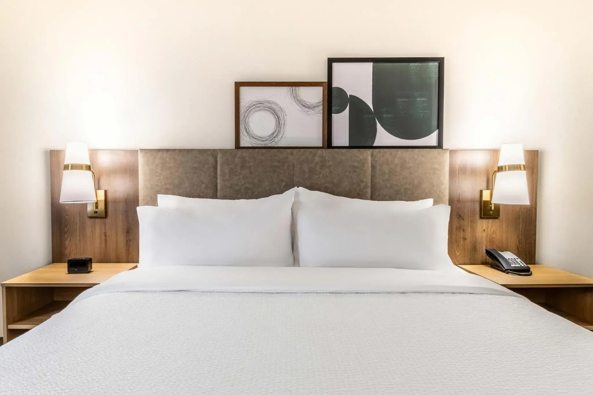 Standard Room - single occupancy in Staybridge Suites Halifax - Dartmouth by IHG Standard Room - single occupancy in Staybridge Suites Halifax - Dartmouth by IHG