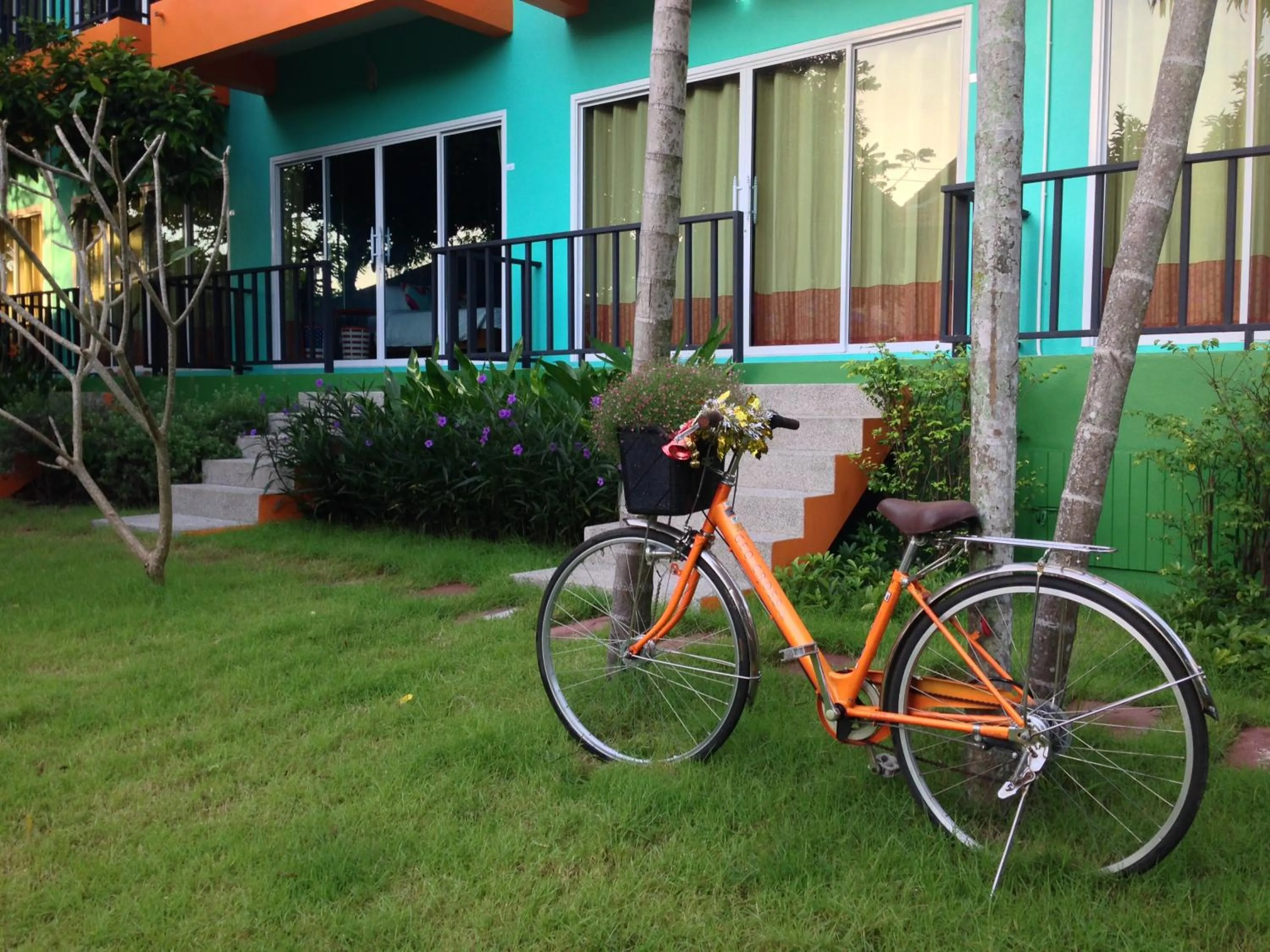 Garden in Samui Poshtel