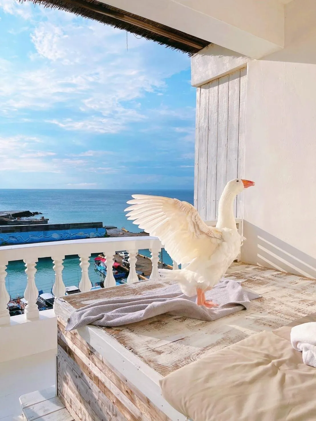 Bed in White&Light B&B