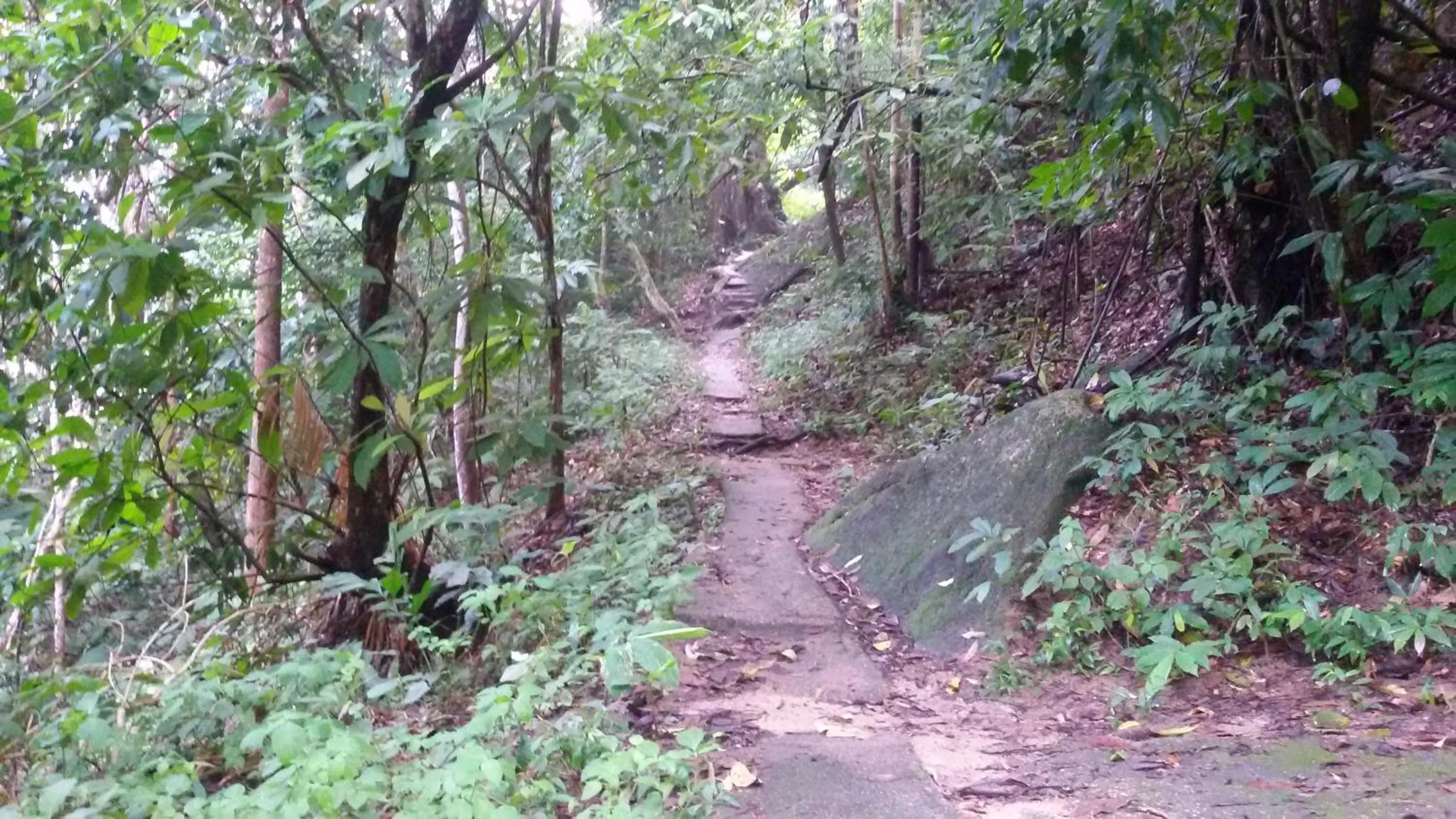 Hiking in Penang Hill Lodge