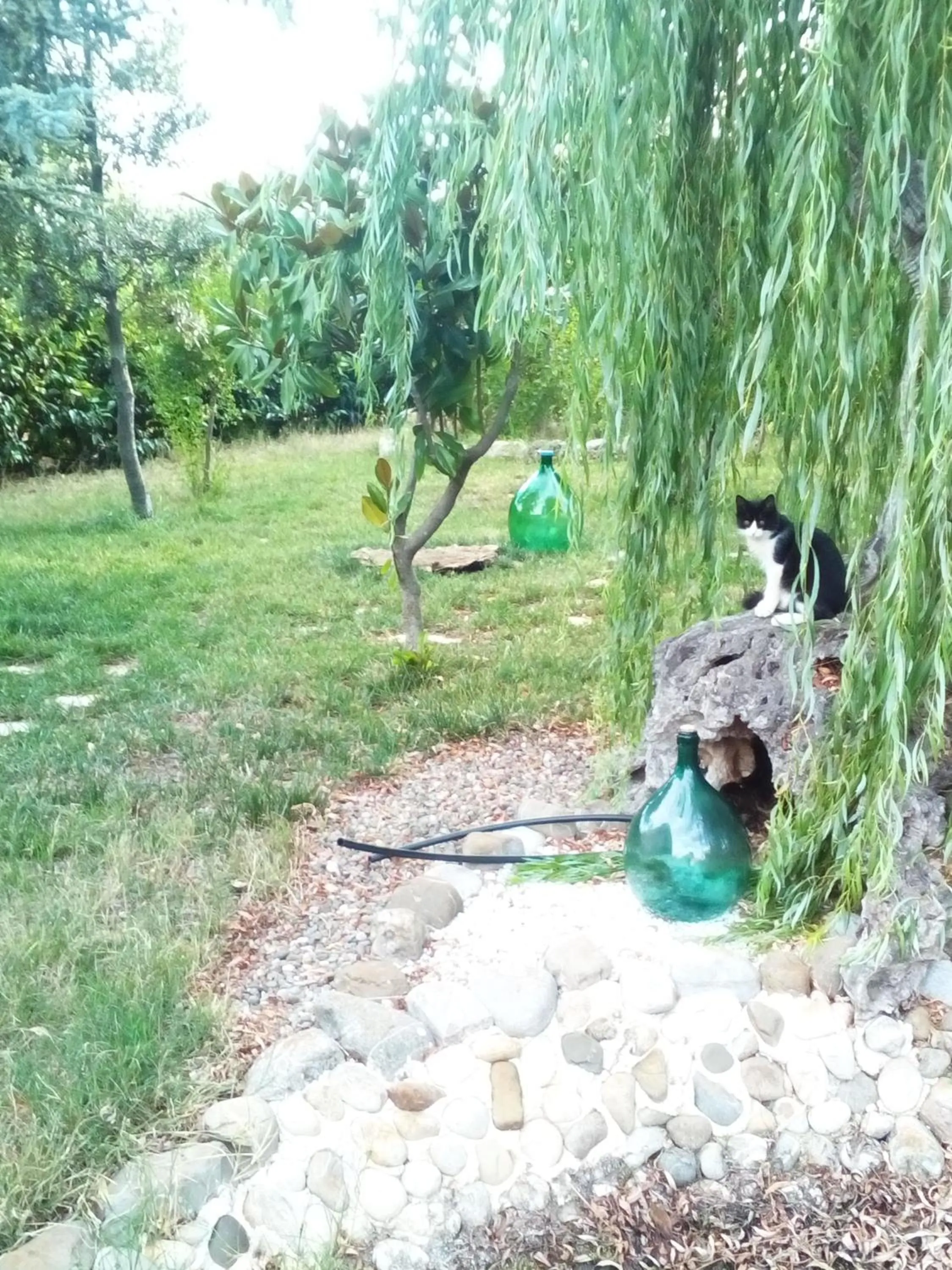 Garden in DIMORA ANTONIANNA in VALLE D'ITRIA