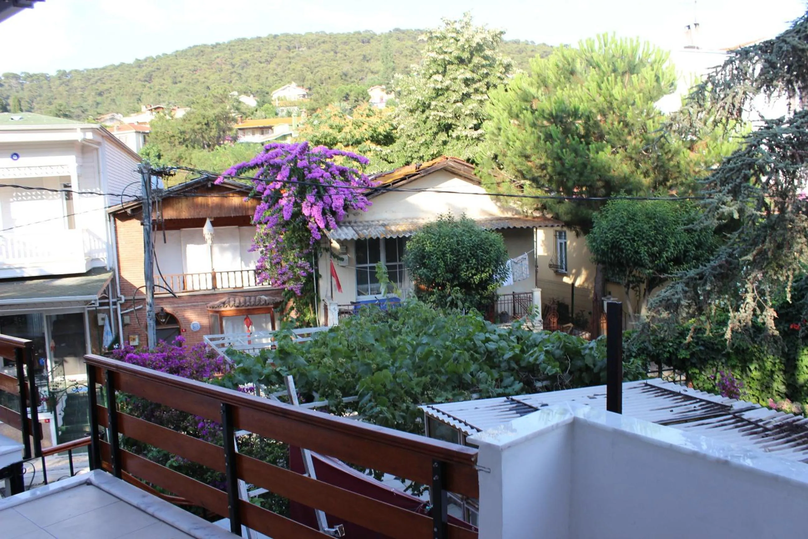 Mountain view in Nizam Butik Otel Büyükada