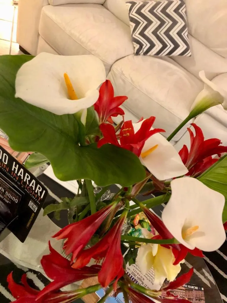 Lobby or reception in Hotel Arcadia