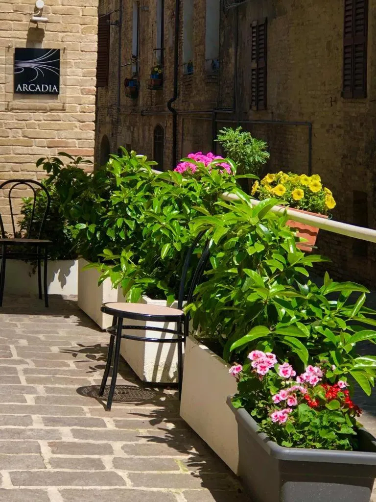 Facade/entrance in Hotel Arcadia