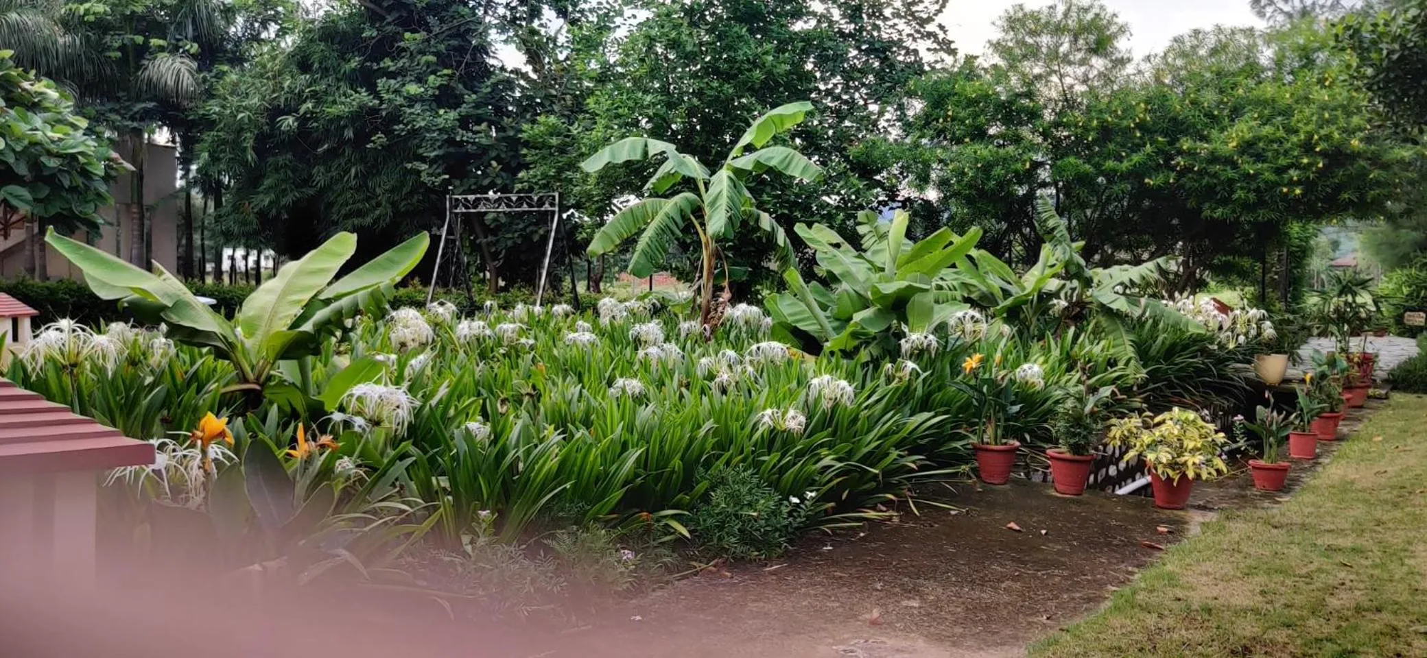 Property building in Resort De Coracao - Corbett , Uttarakhand