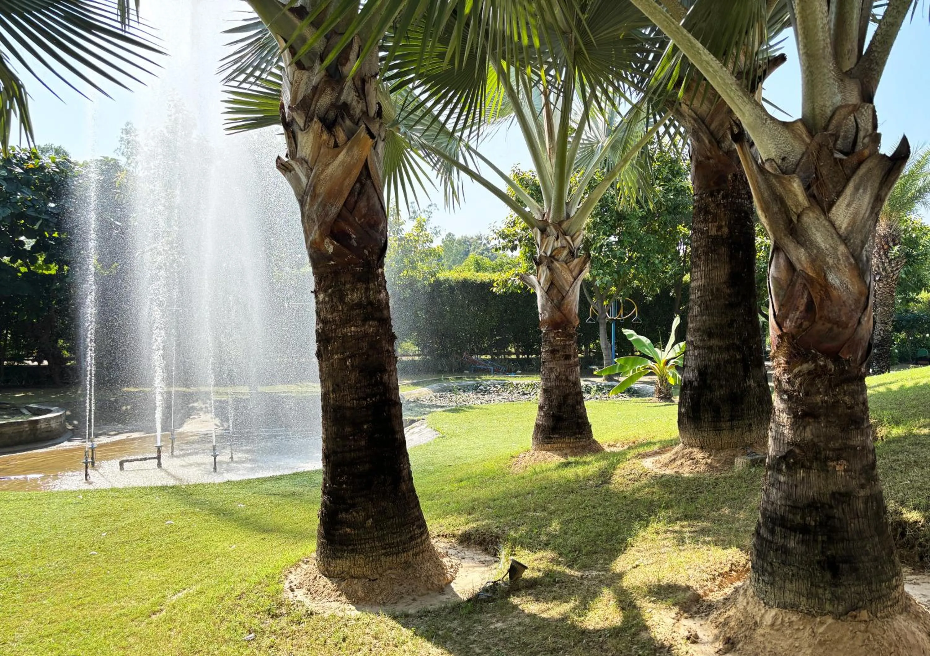 Resort De Coracao - Corbett , Uttarakhand