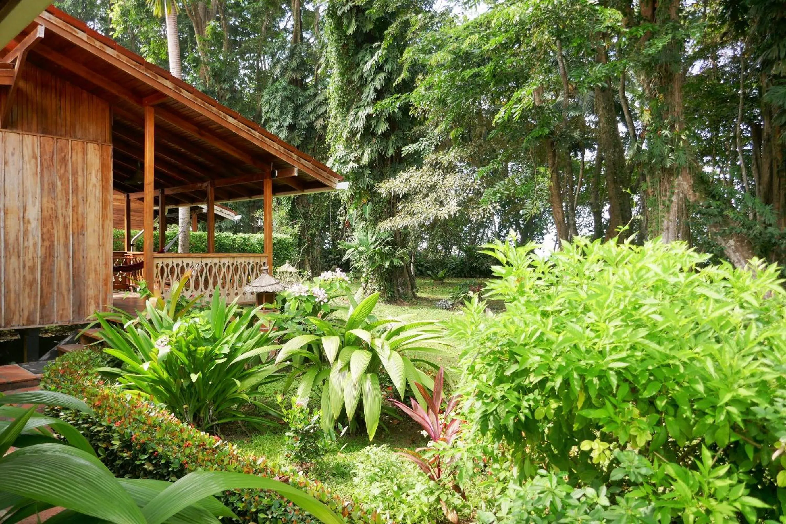Garden view in Escape Caribeño