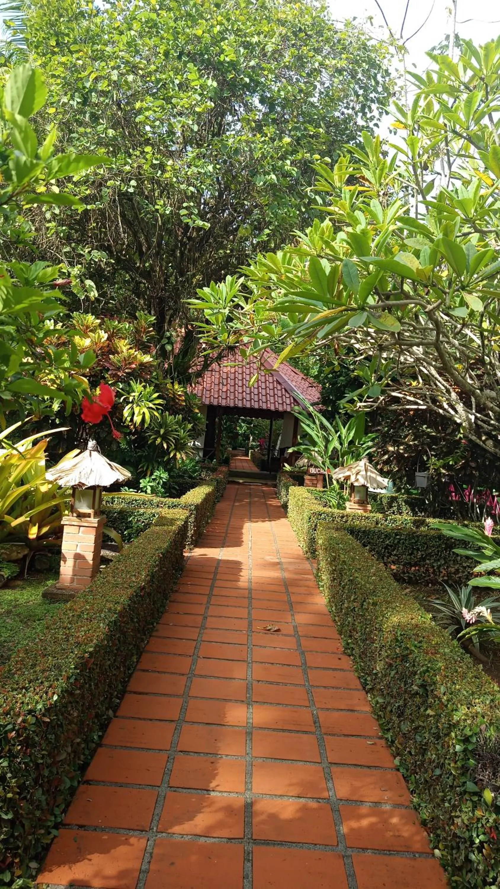 Garden in Escape Caribeño