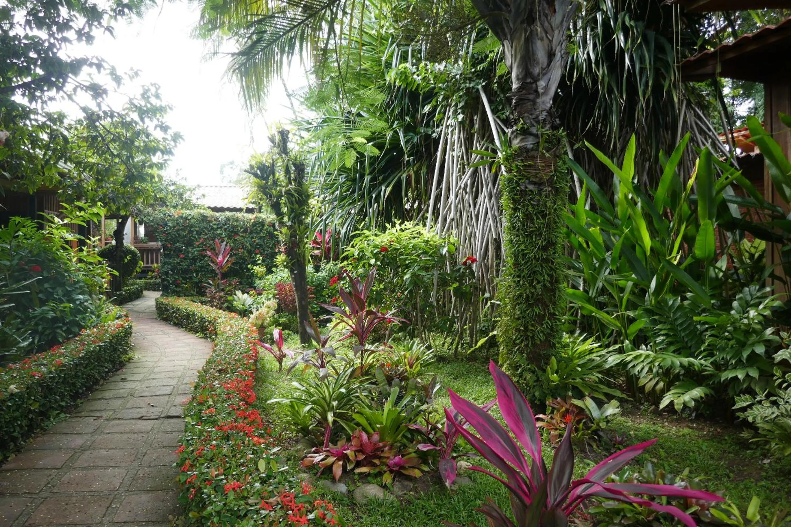 Garden in Escape Caribeño