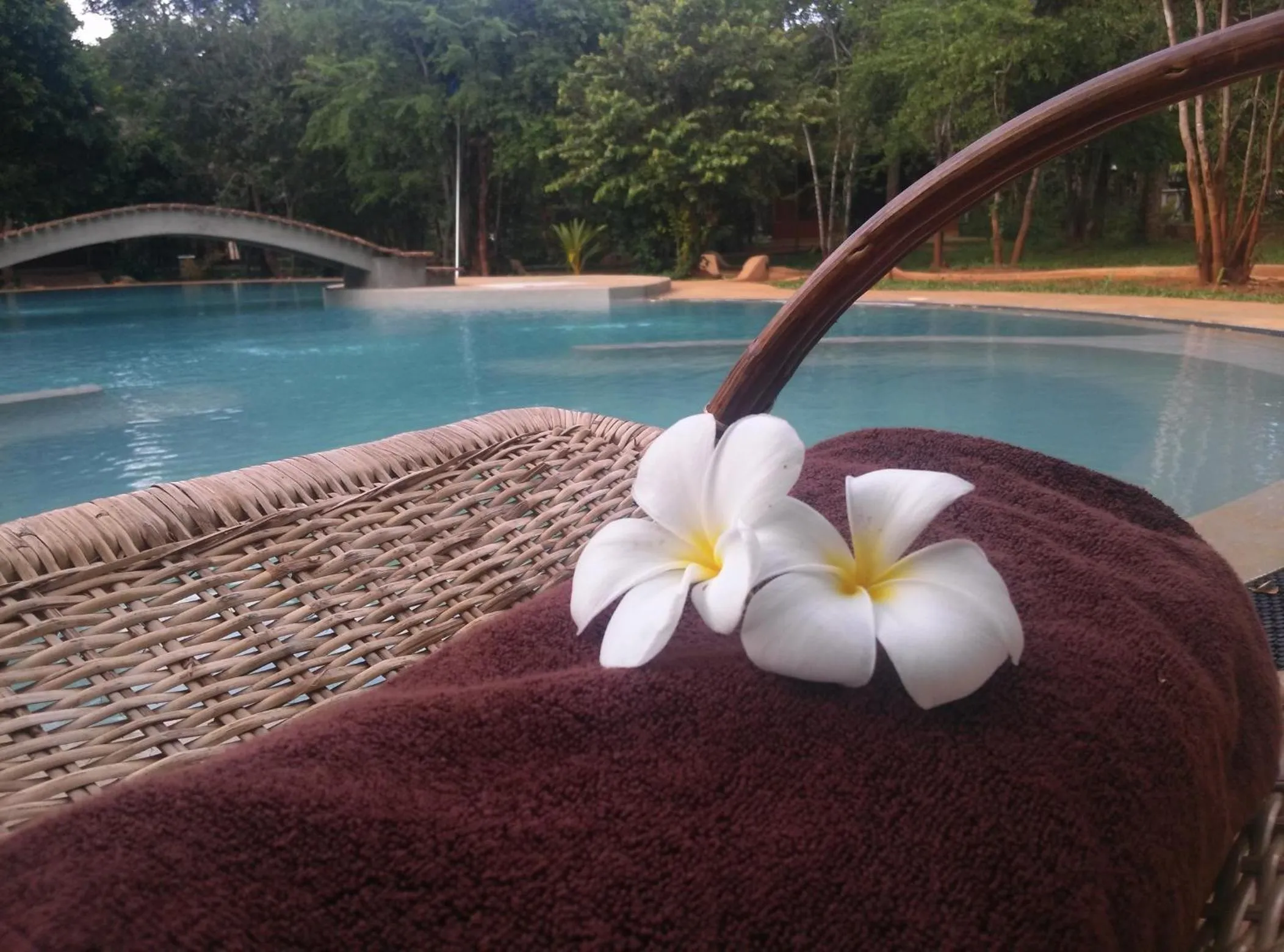 Swimming pool in Kuwera Eco Lodge