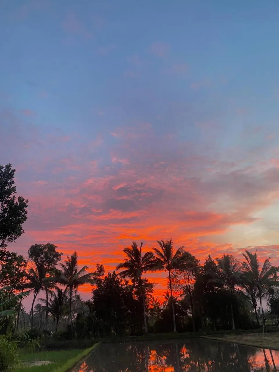 Kembang Kuning Cottages