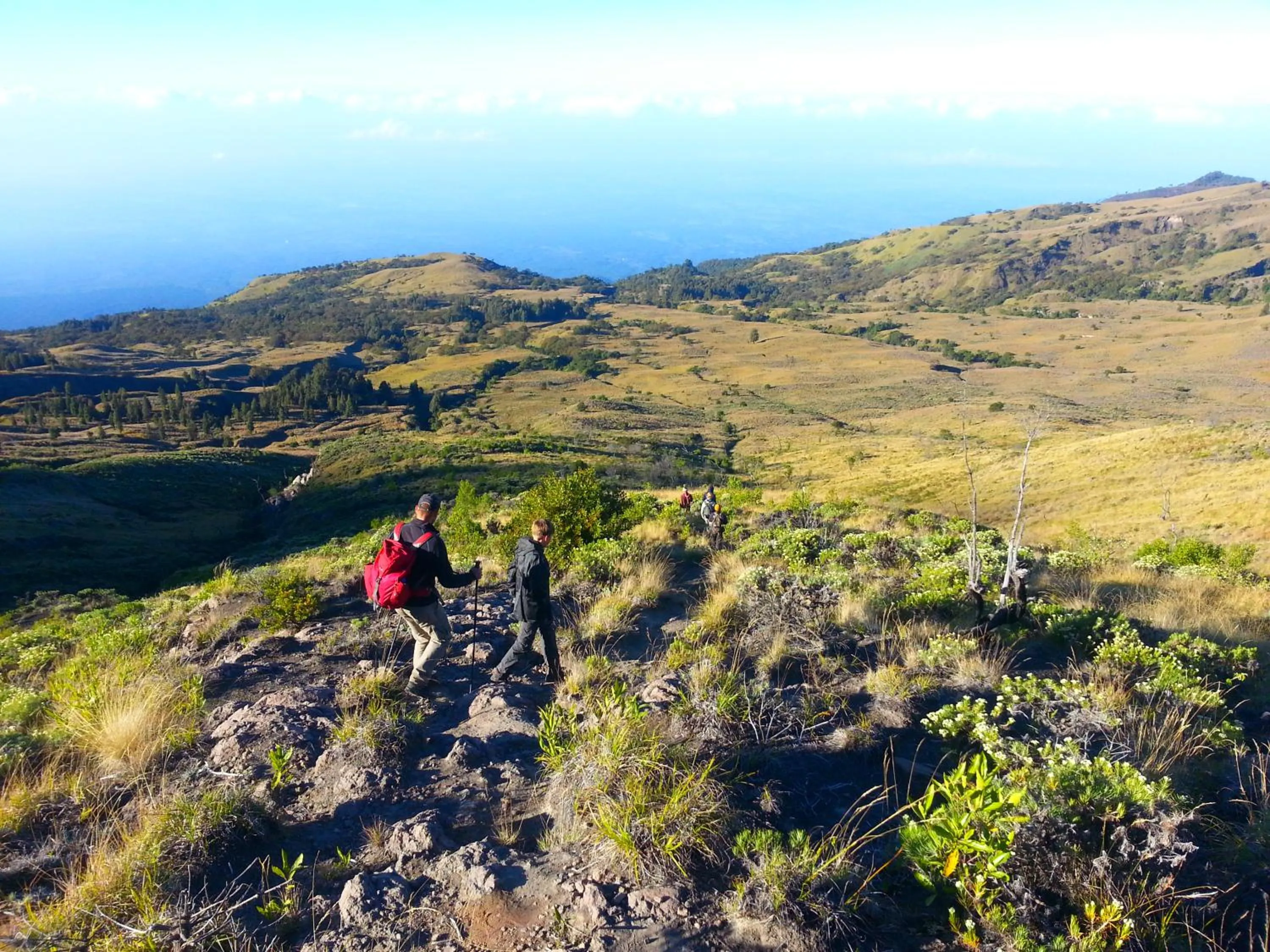 Natural landscape in Kembang Kuning Cottages