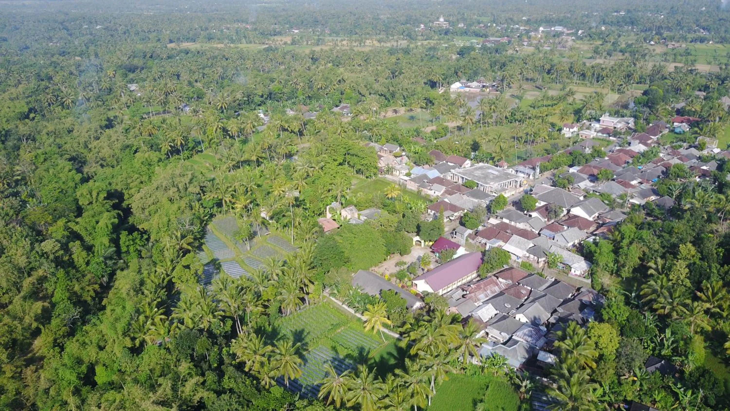 Bird's eye view in Kembang Kuning Cottages