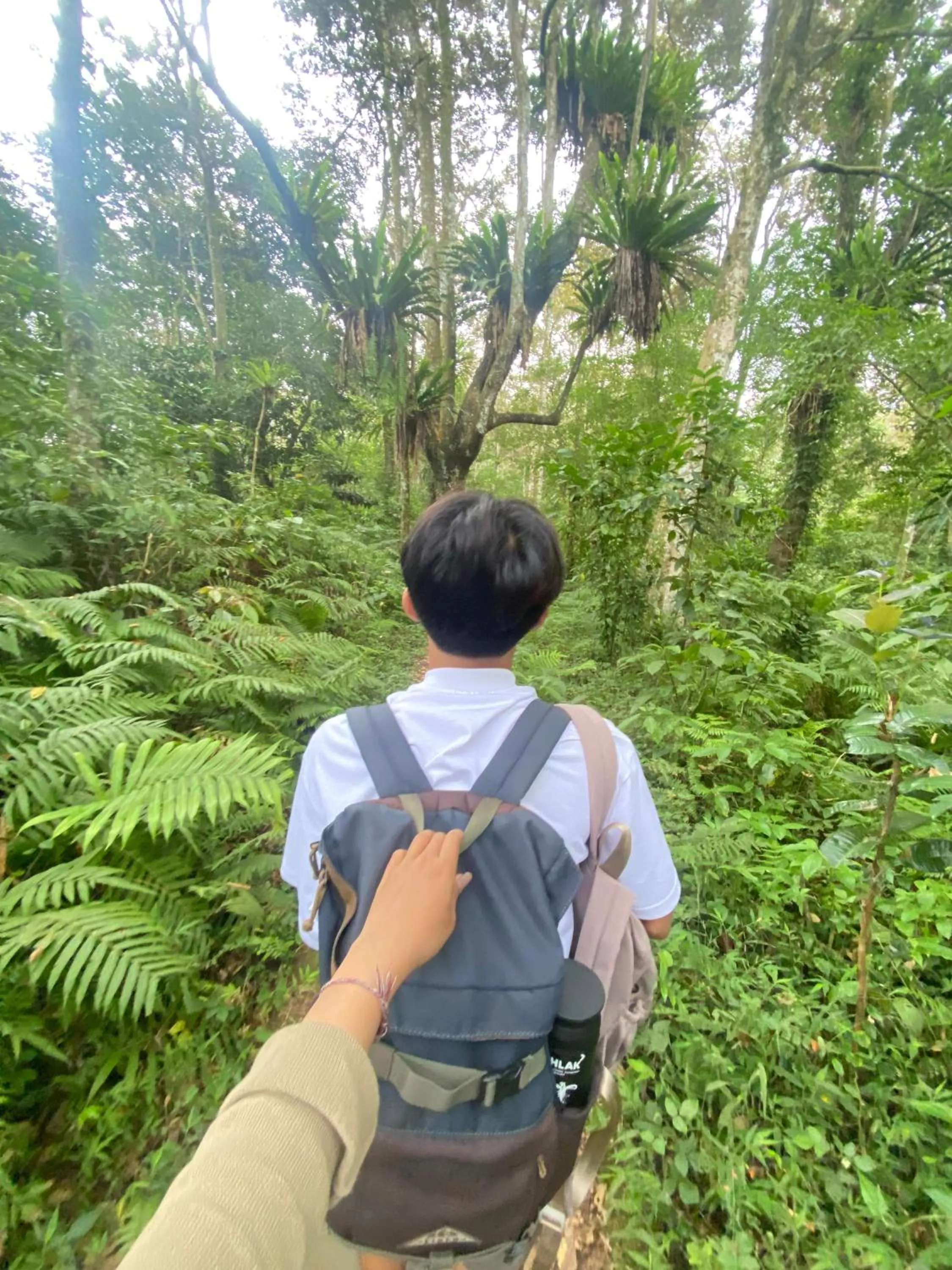 Kembang Kuning Cottages