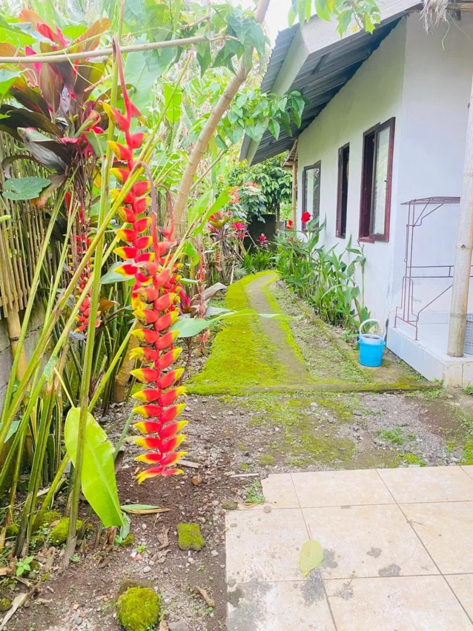 Kembang Kuning Cottages