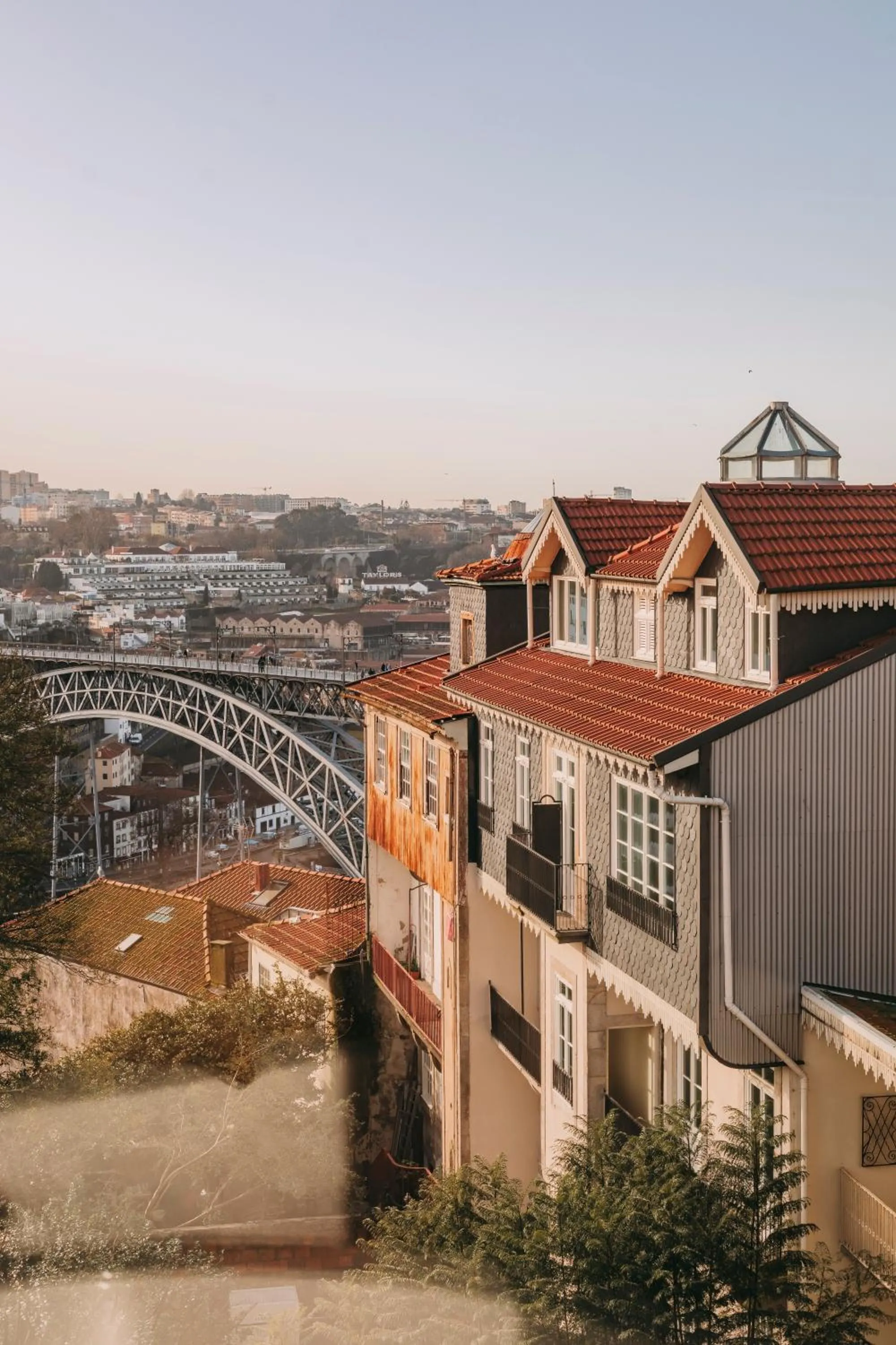 City view in LENSCAPE Coterie