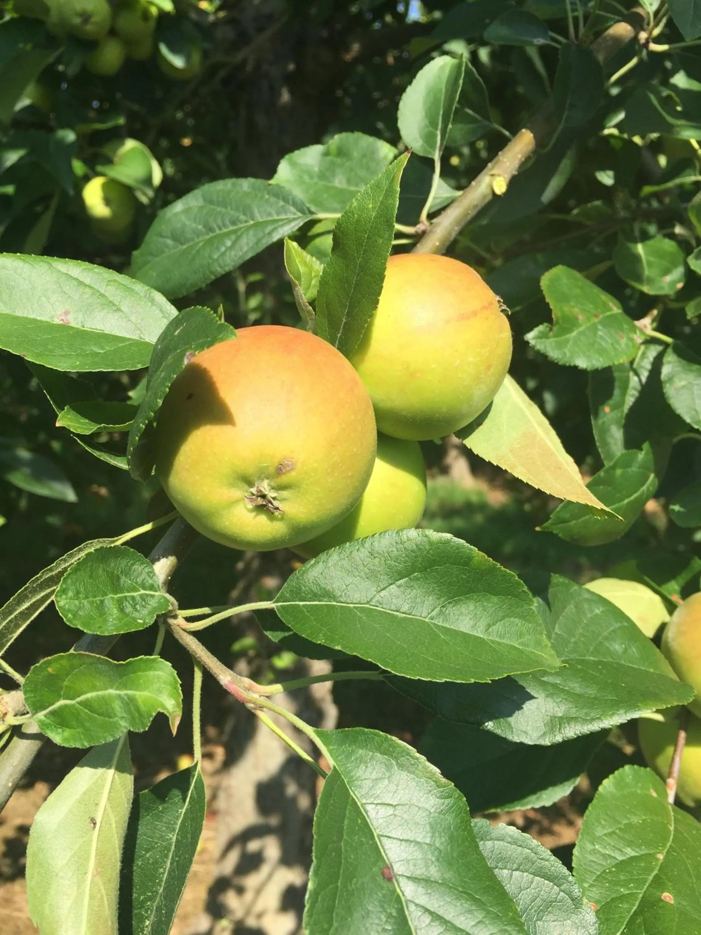 Other in Le Manoir de Bénédicte B&B
