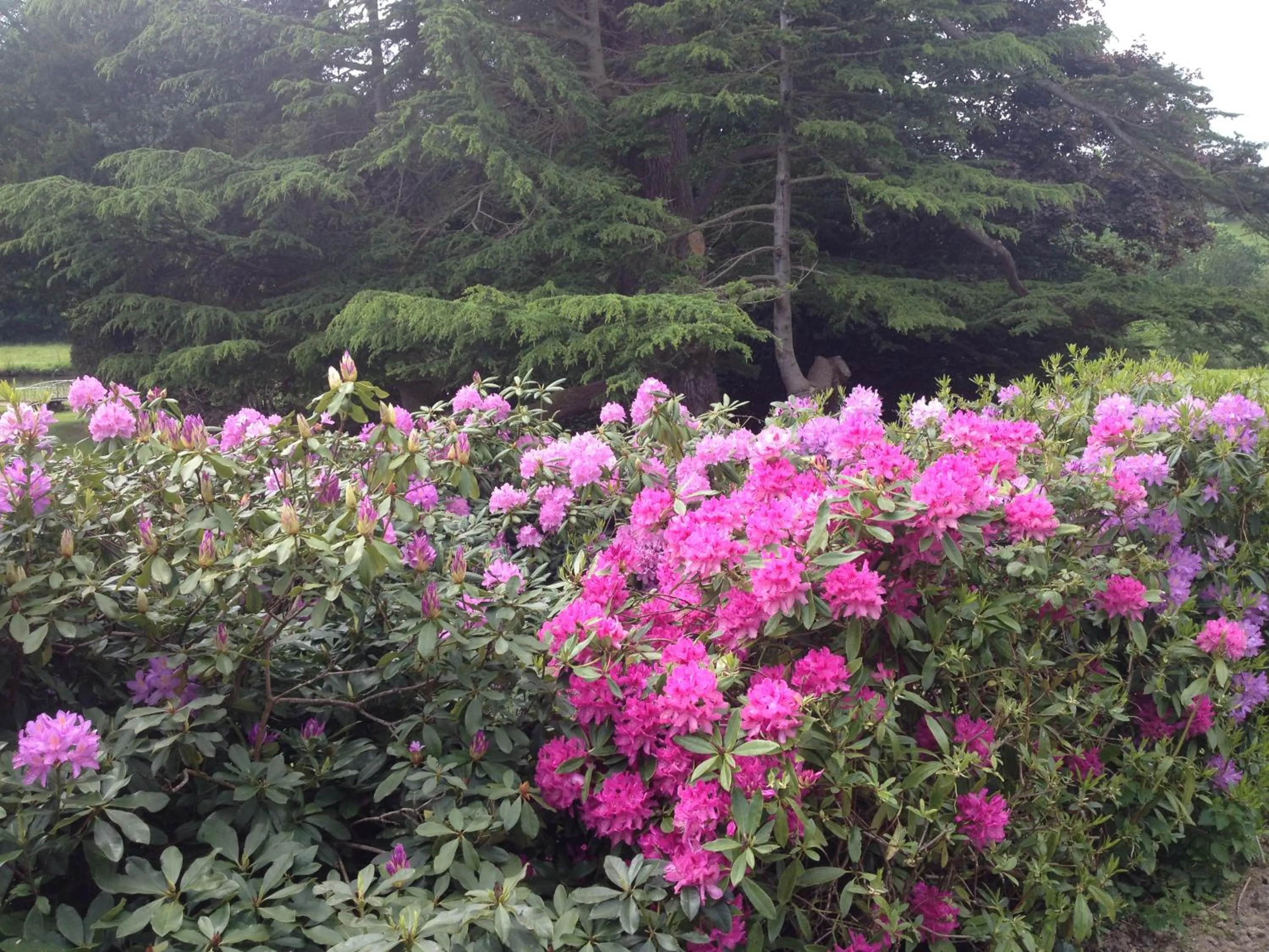 Le Manoir de Bénédicte B&B