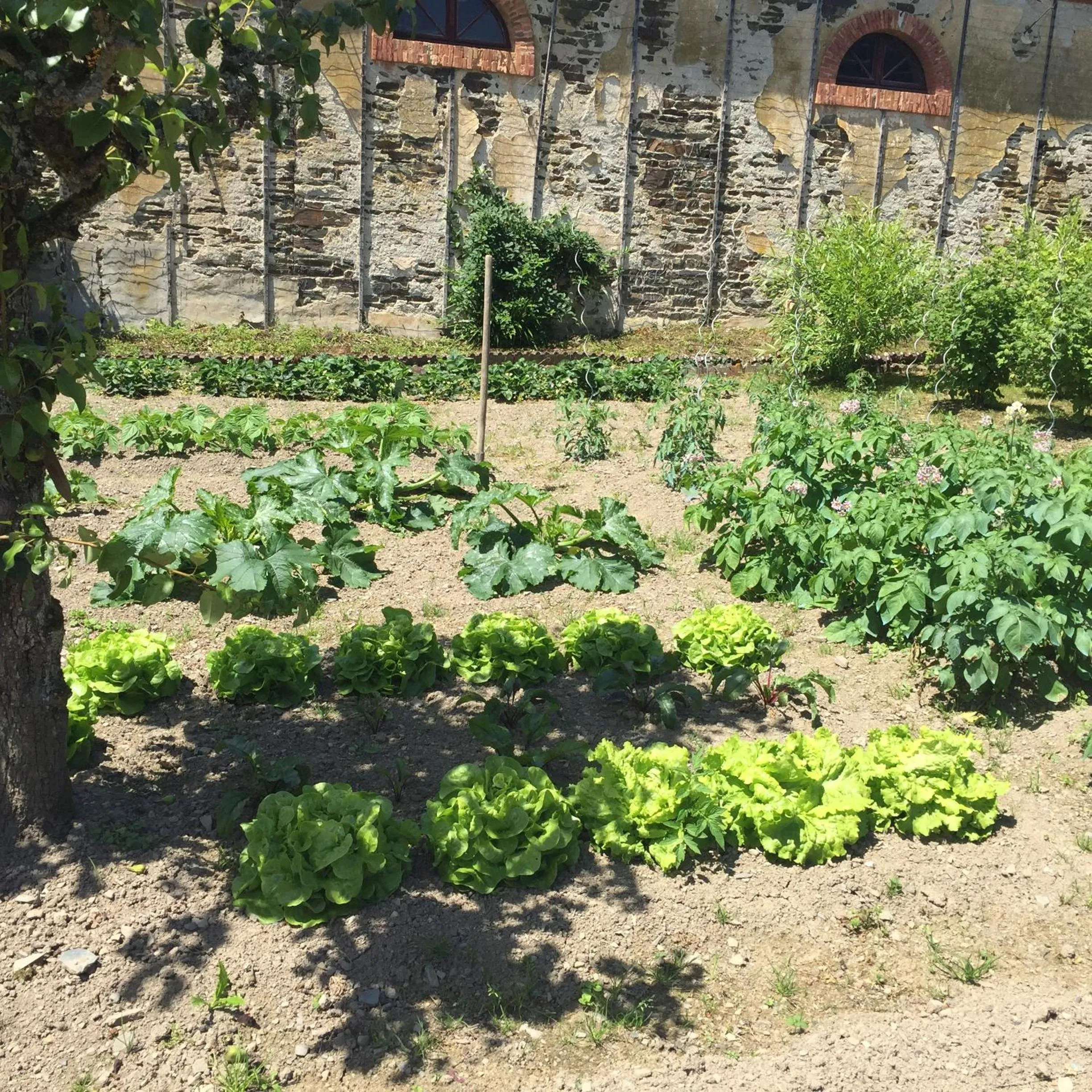 Garden in Le Manoir de Bénédicte B&B
