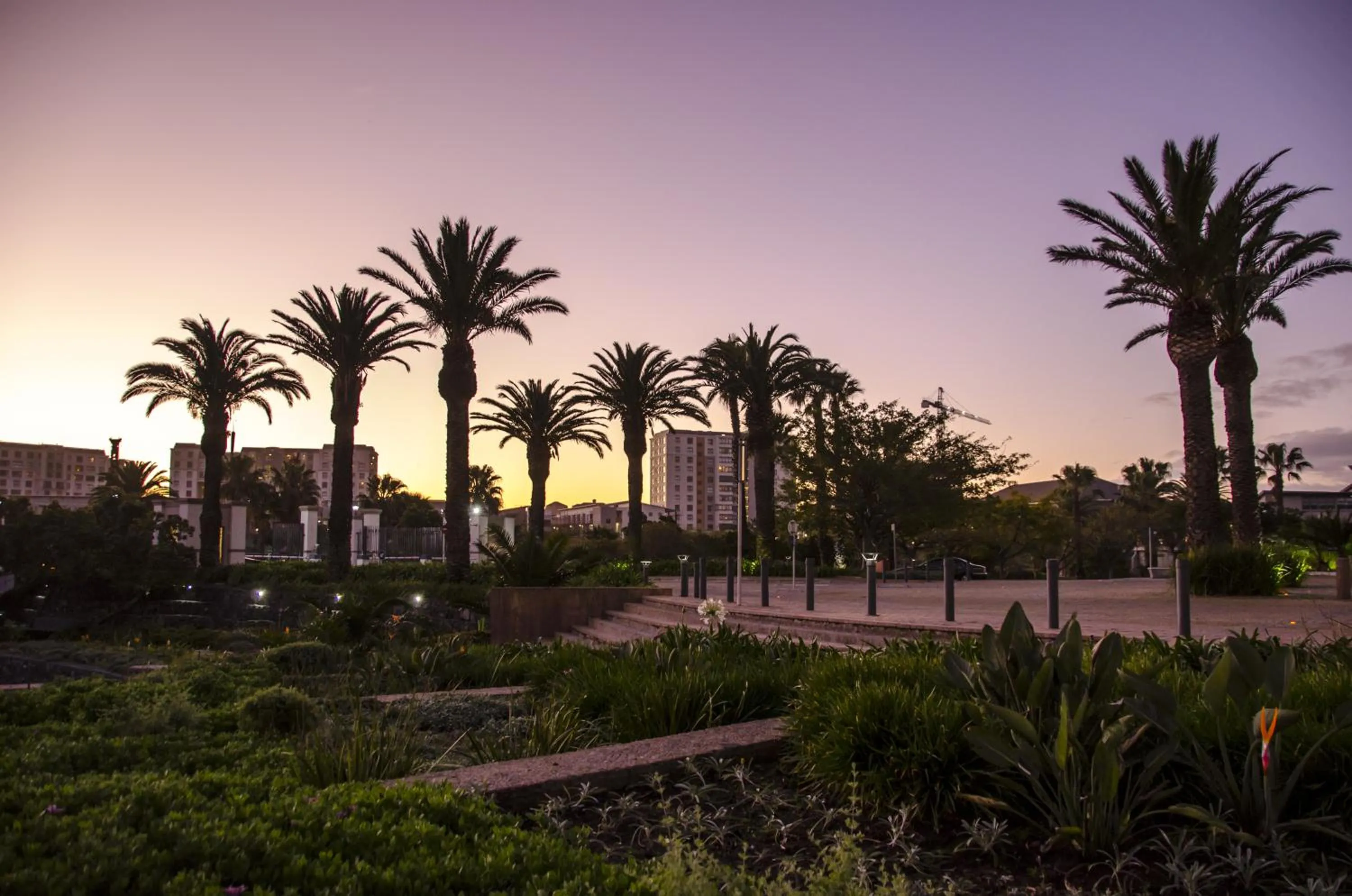 Property building in Knightsbridge Luxury Apartments