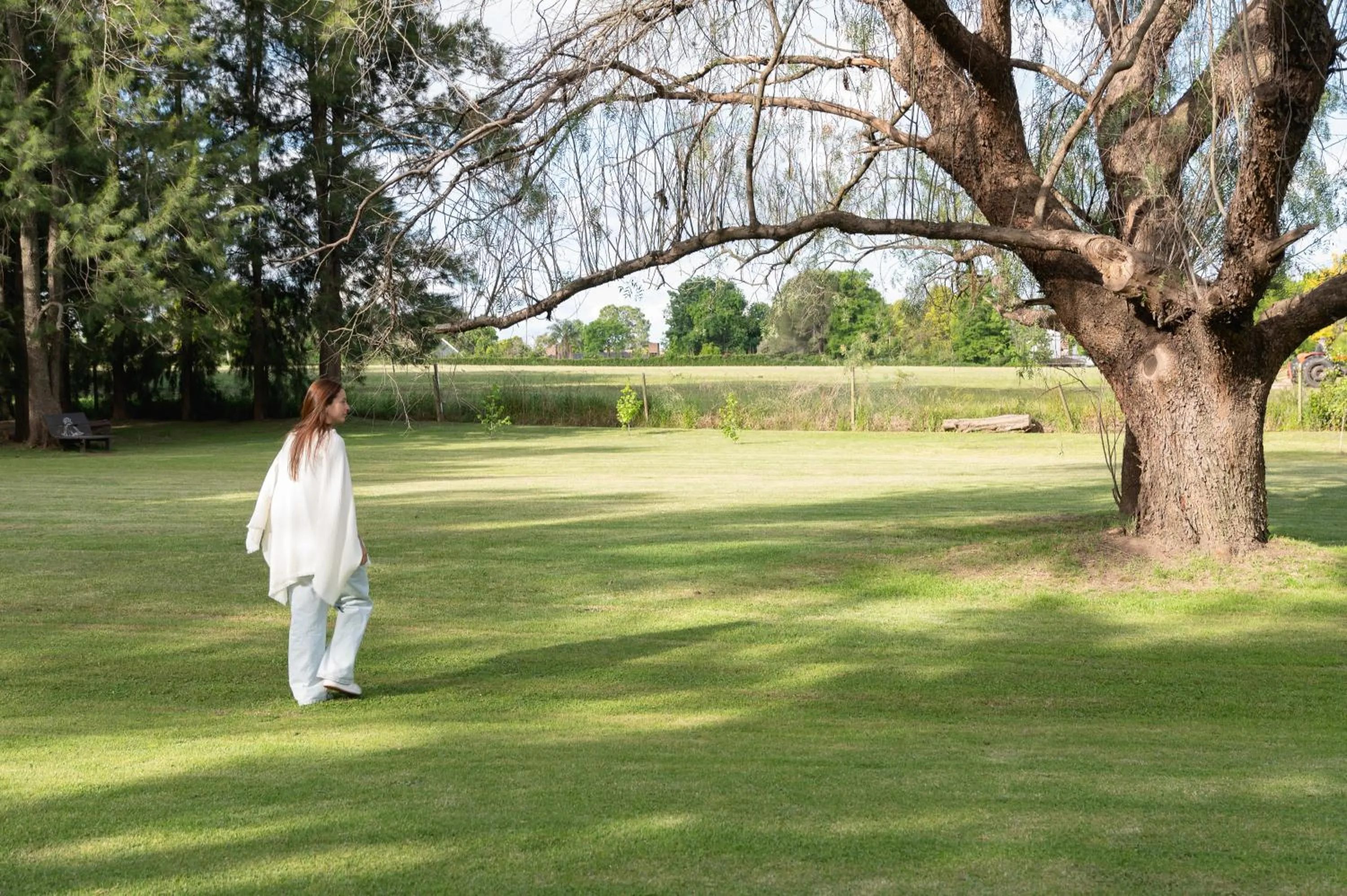 Garden in La Posta del Pilar Hotel & Spa